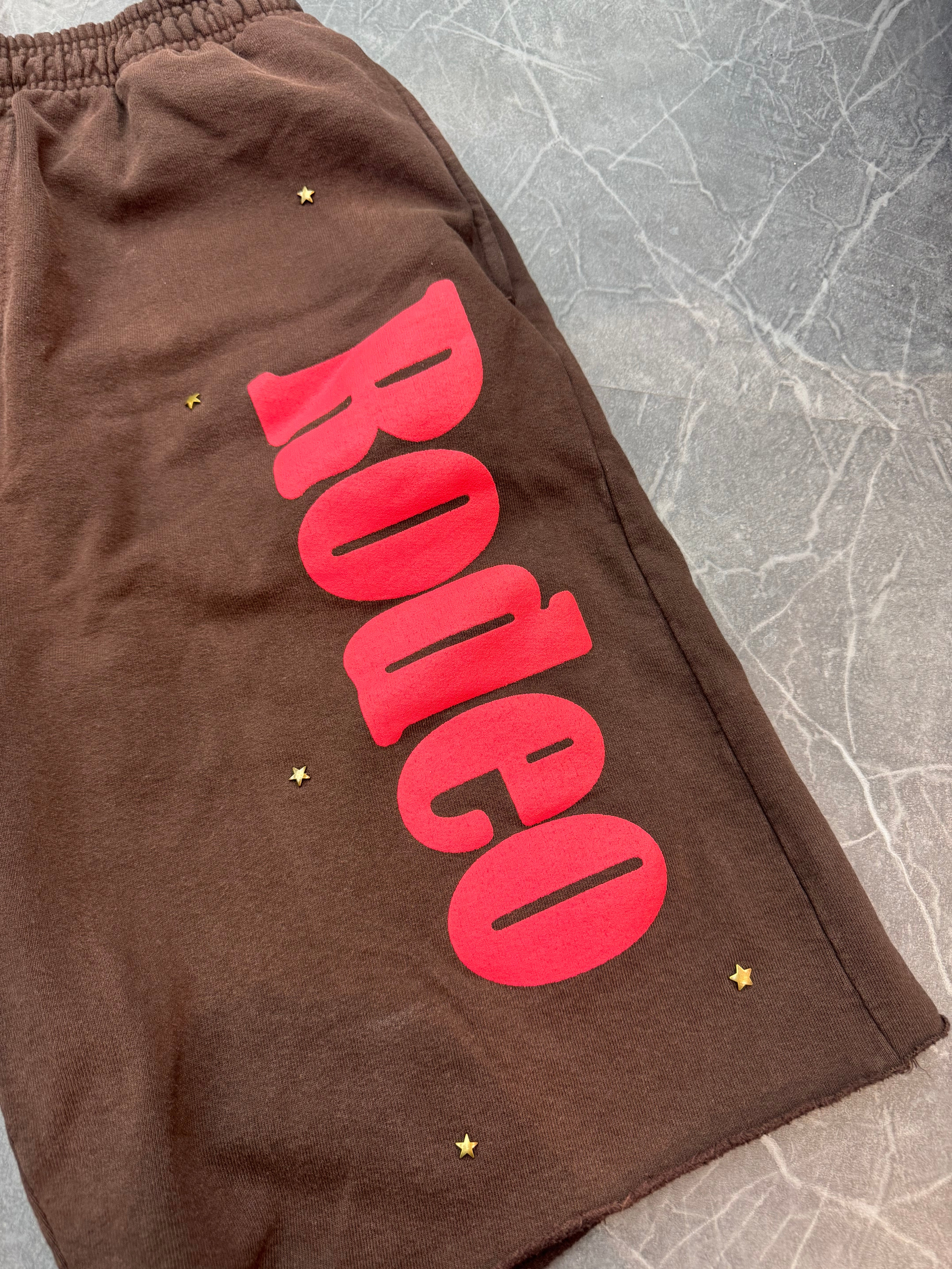 Travis Scott Cactus Jack x Sp5der Days Before Rodeo Shorts