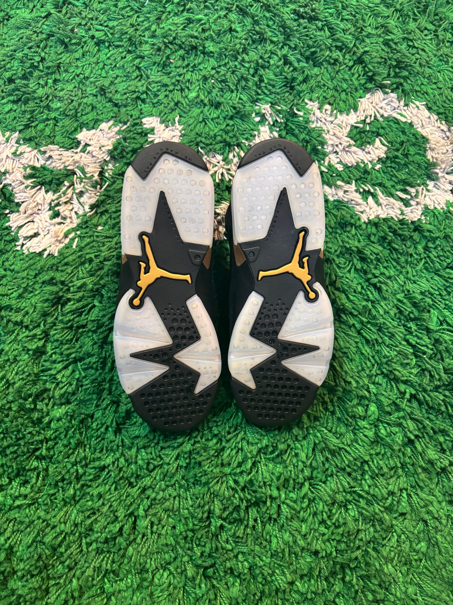 Jordan 6 “DMP”