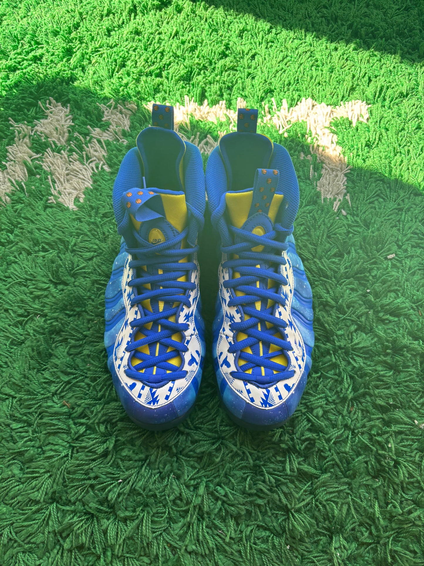 Nike Air Foamposite One “Doernbecher”