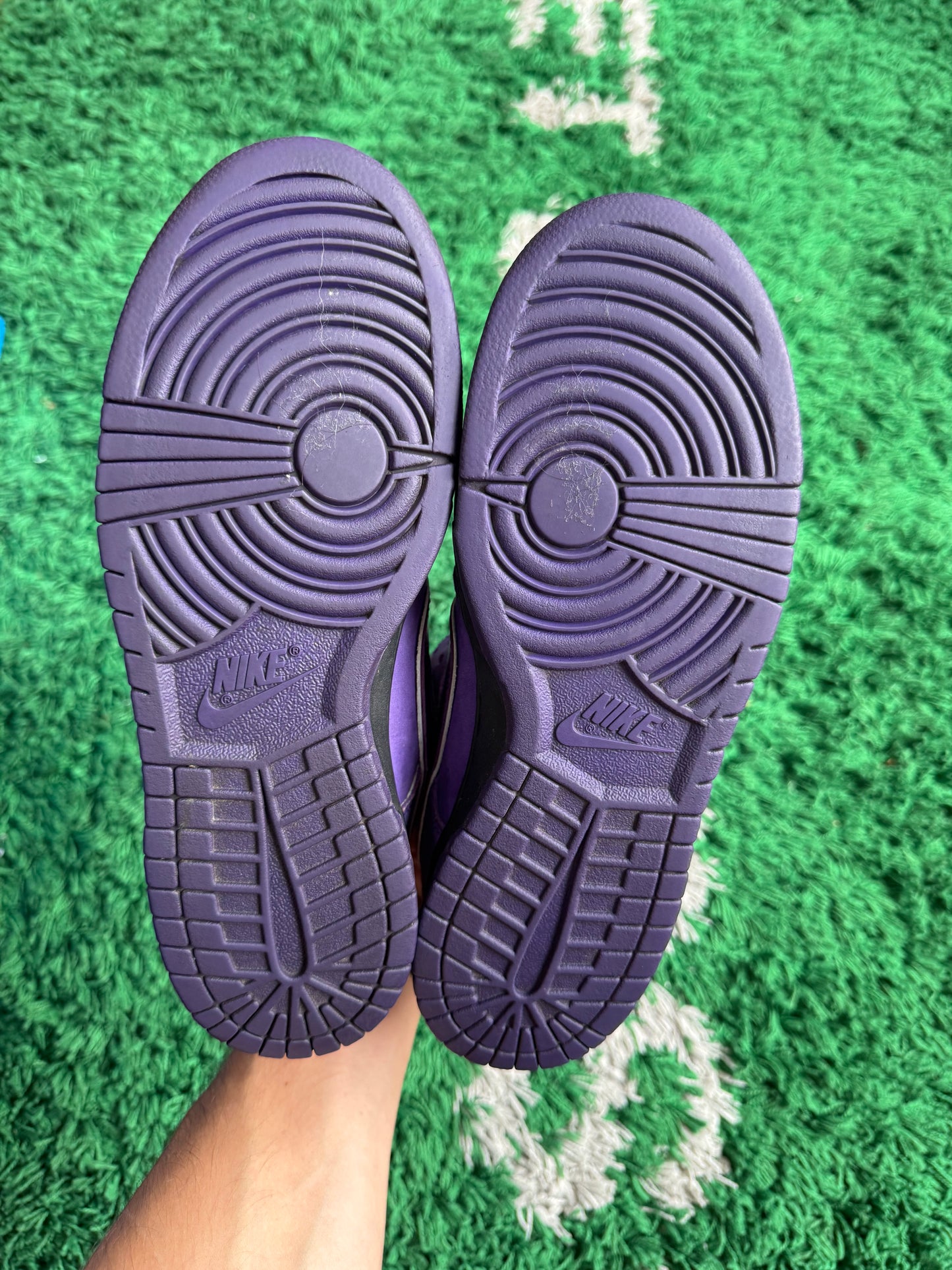 Nike Dunk Low SB x Concepts “Purple Lobster”