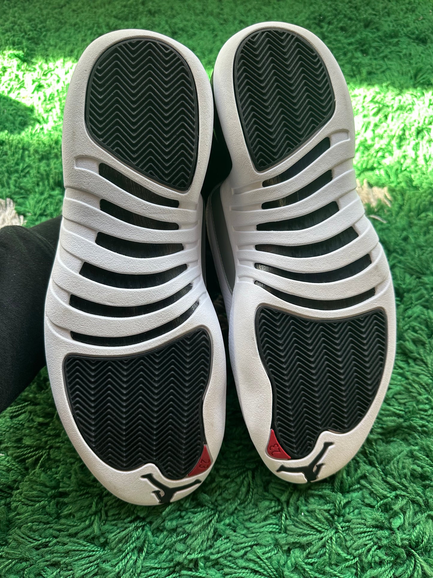 Jordan 12 “Playoff”