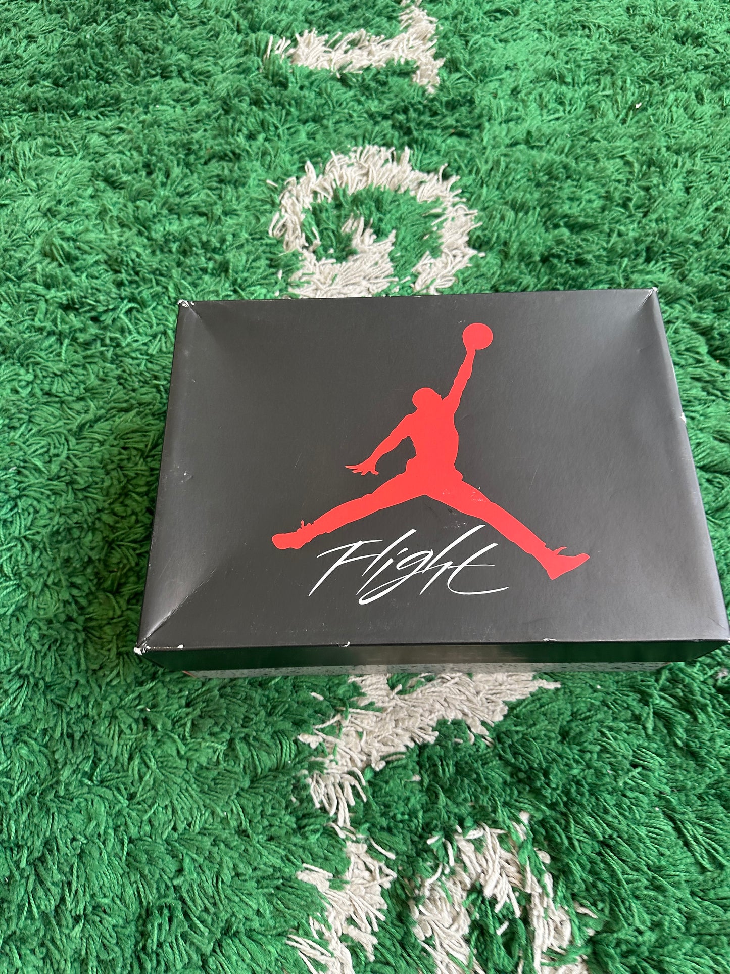 Jordan 4 “Military Blue”