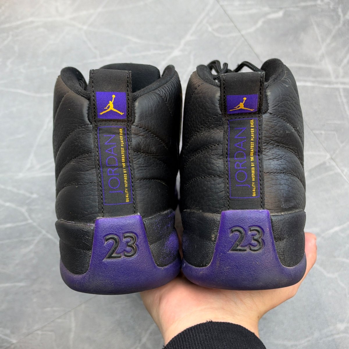 Jordan 12 Retro Field Purple (Size 10.5) (Lightly Worn)