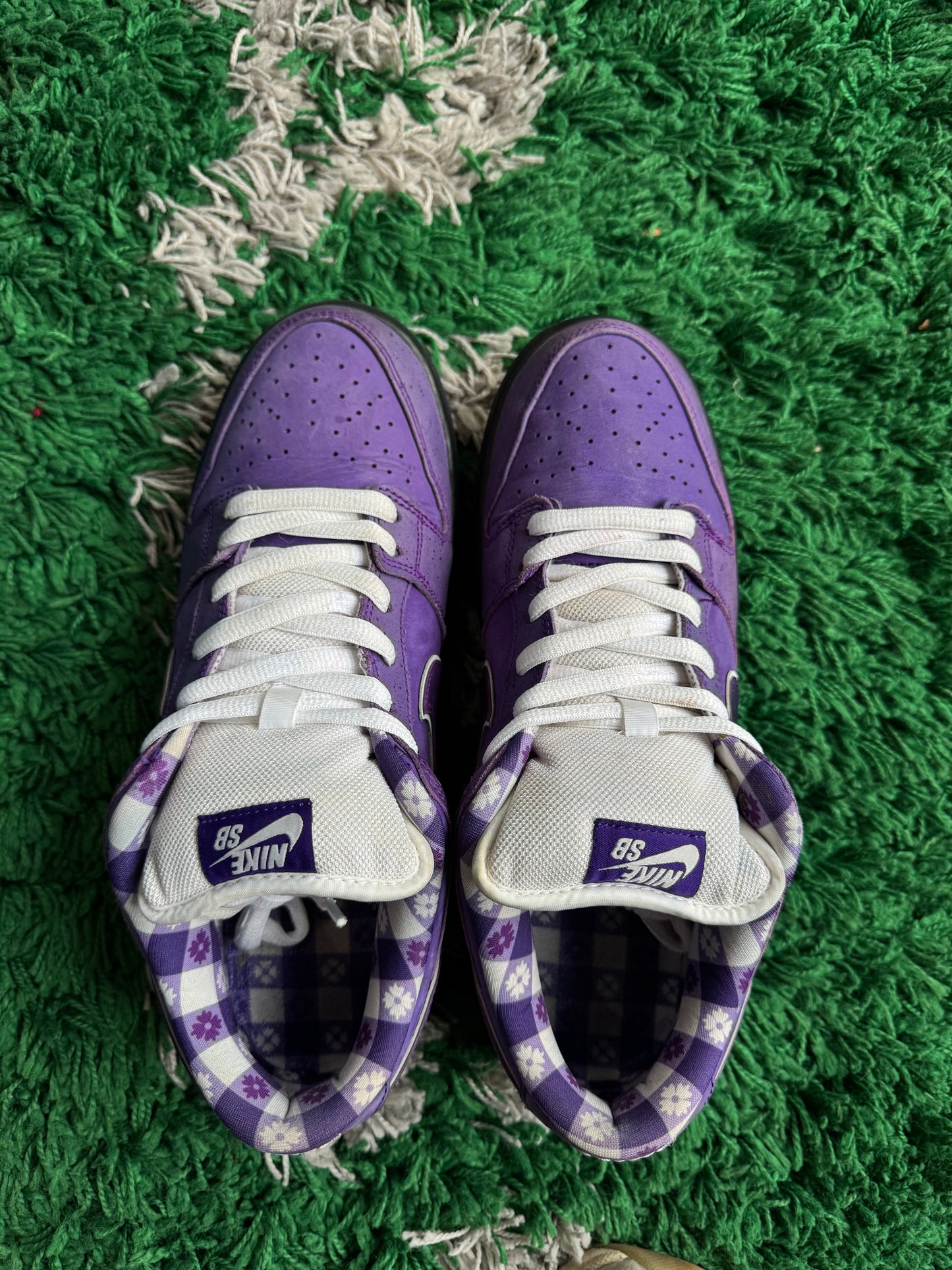 Nike Dunk Low SB x Concepts “Purple Lobster”