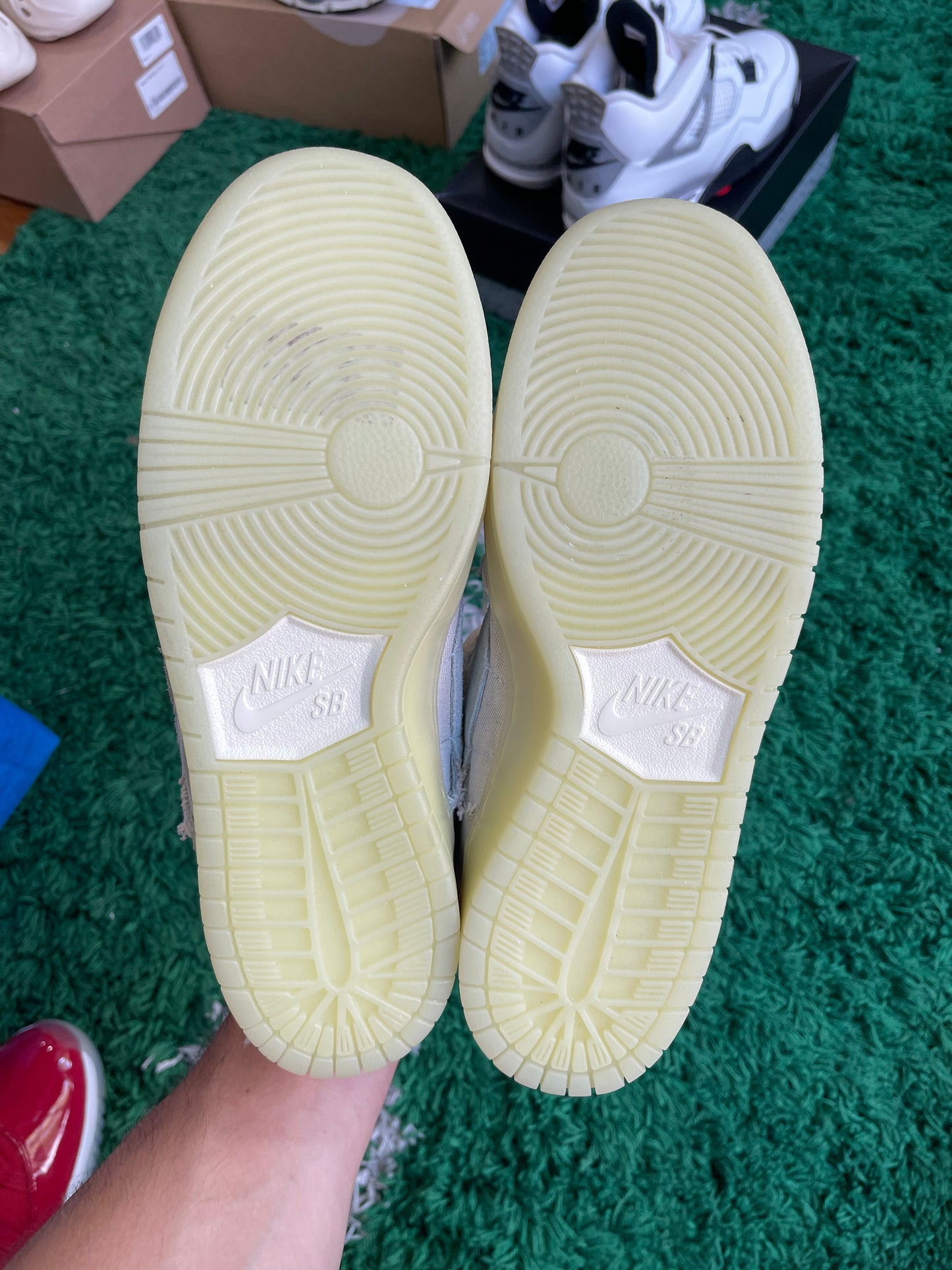 Nike Dunk Low SB “Mummy”