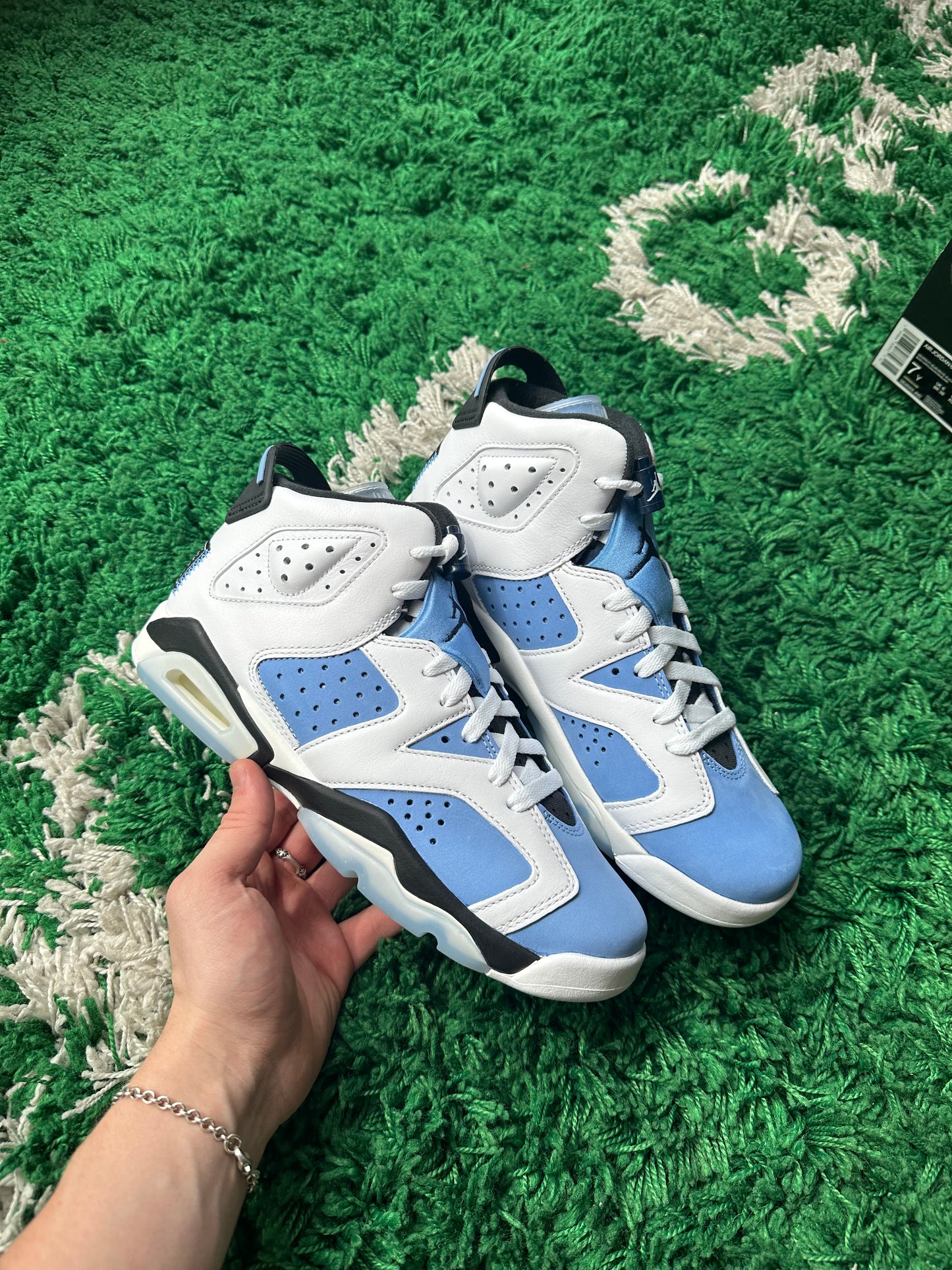 Jordan 6 “UNC”