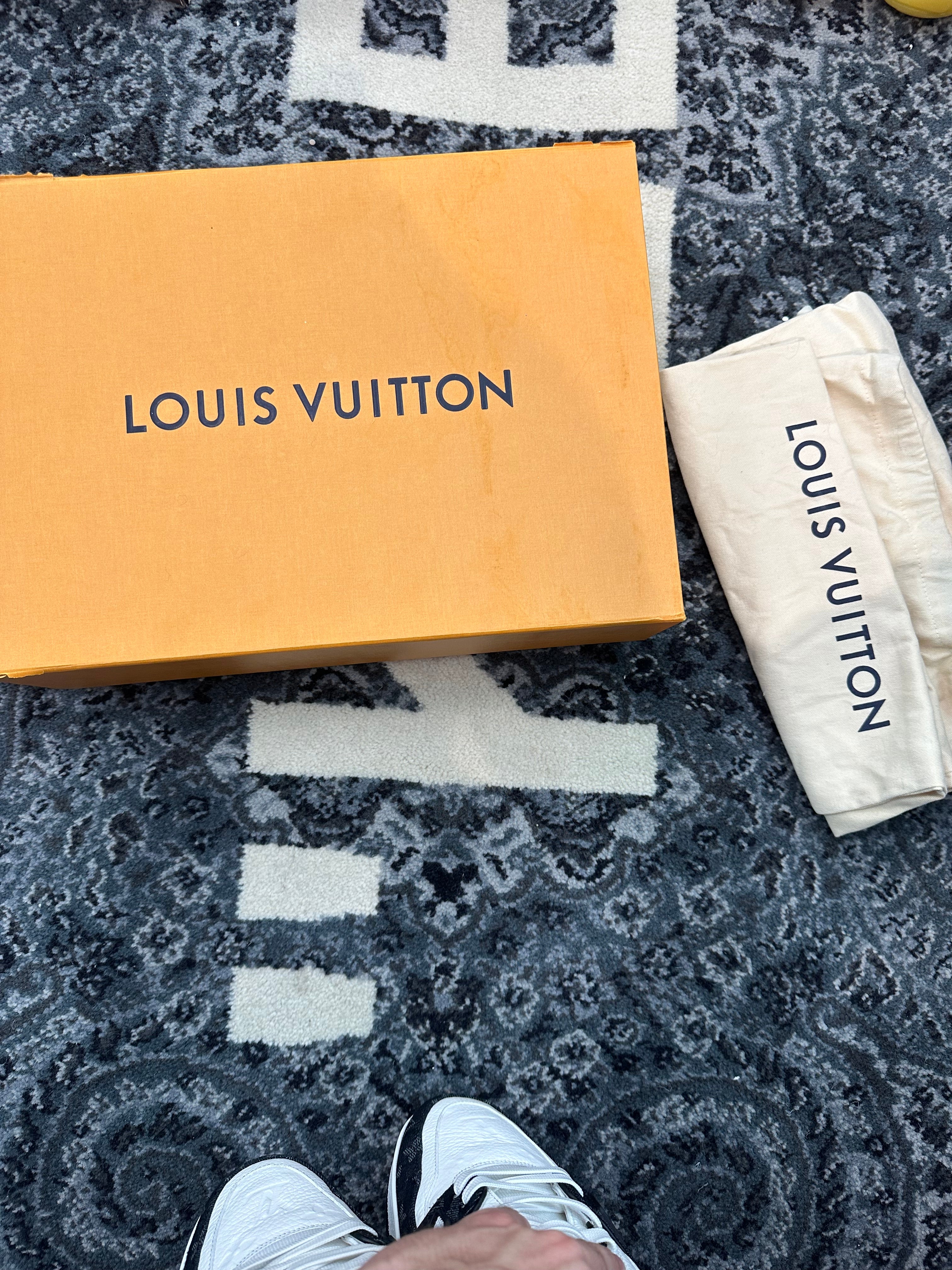 Louis Vuitton Trainer “Black White”