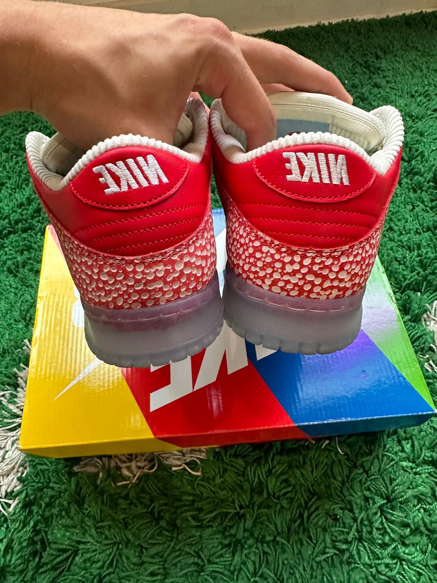 Nike Dunk Low SB “Stingwater”