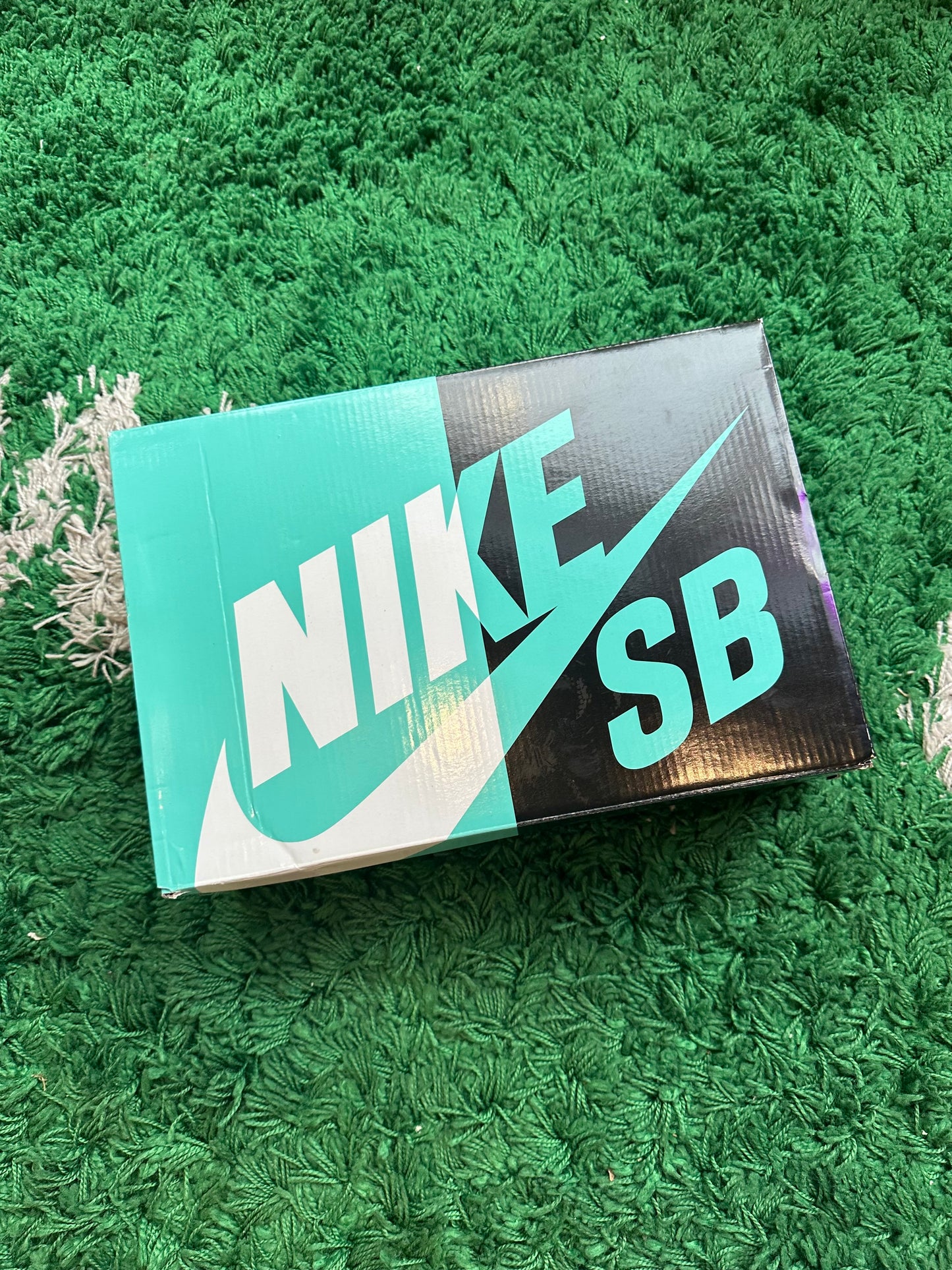 Nike Dunk Low SB “Raygun”