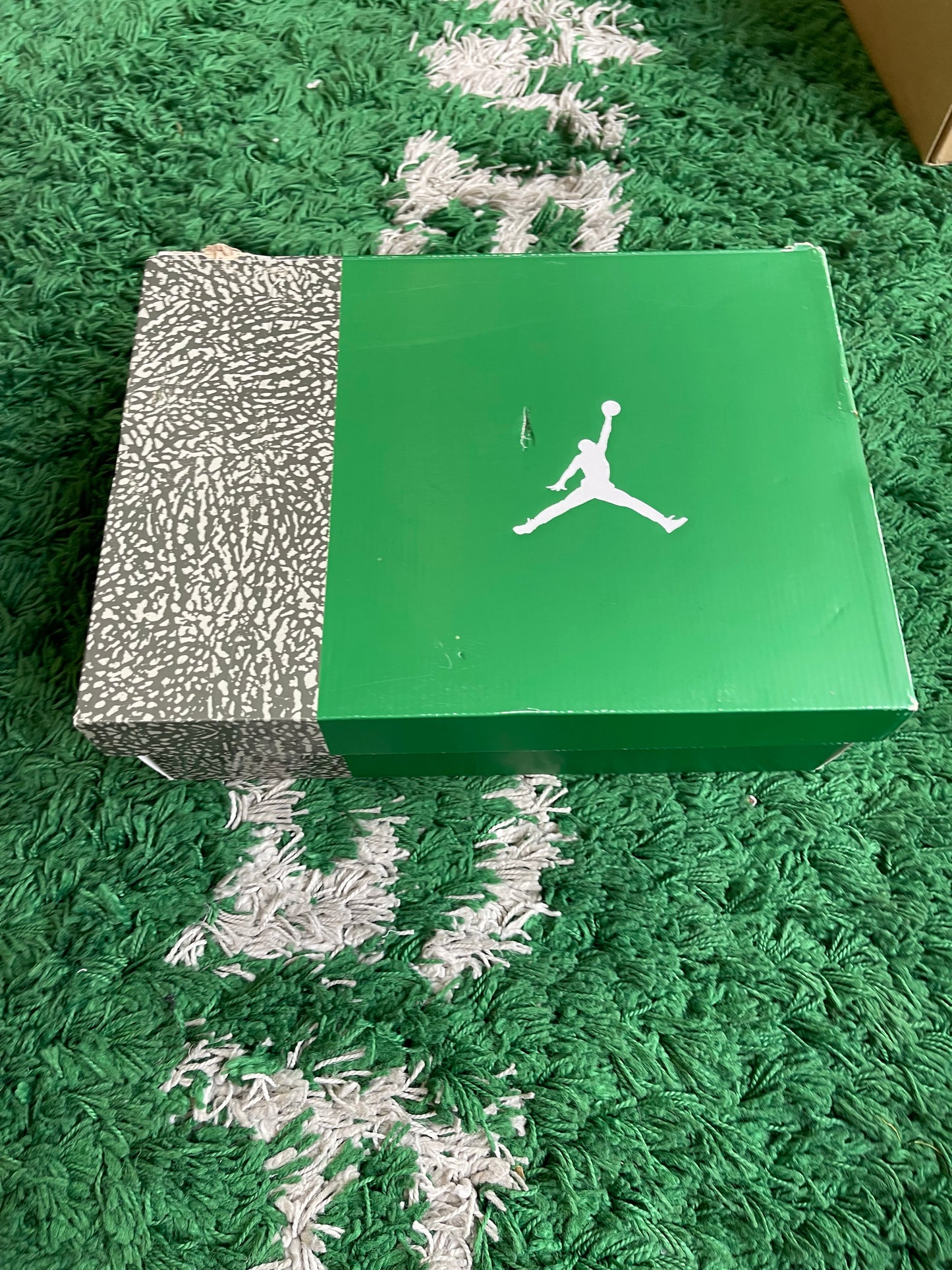 Jordan 3 “Pine Green”