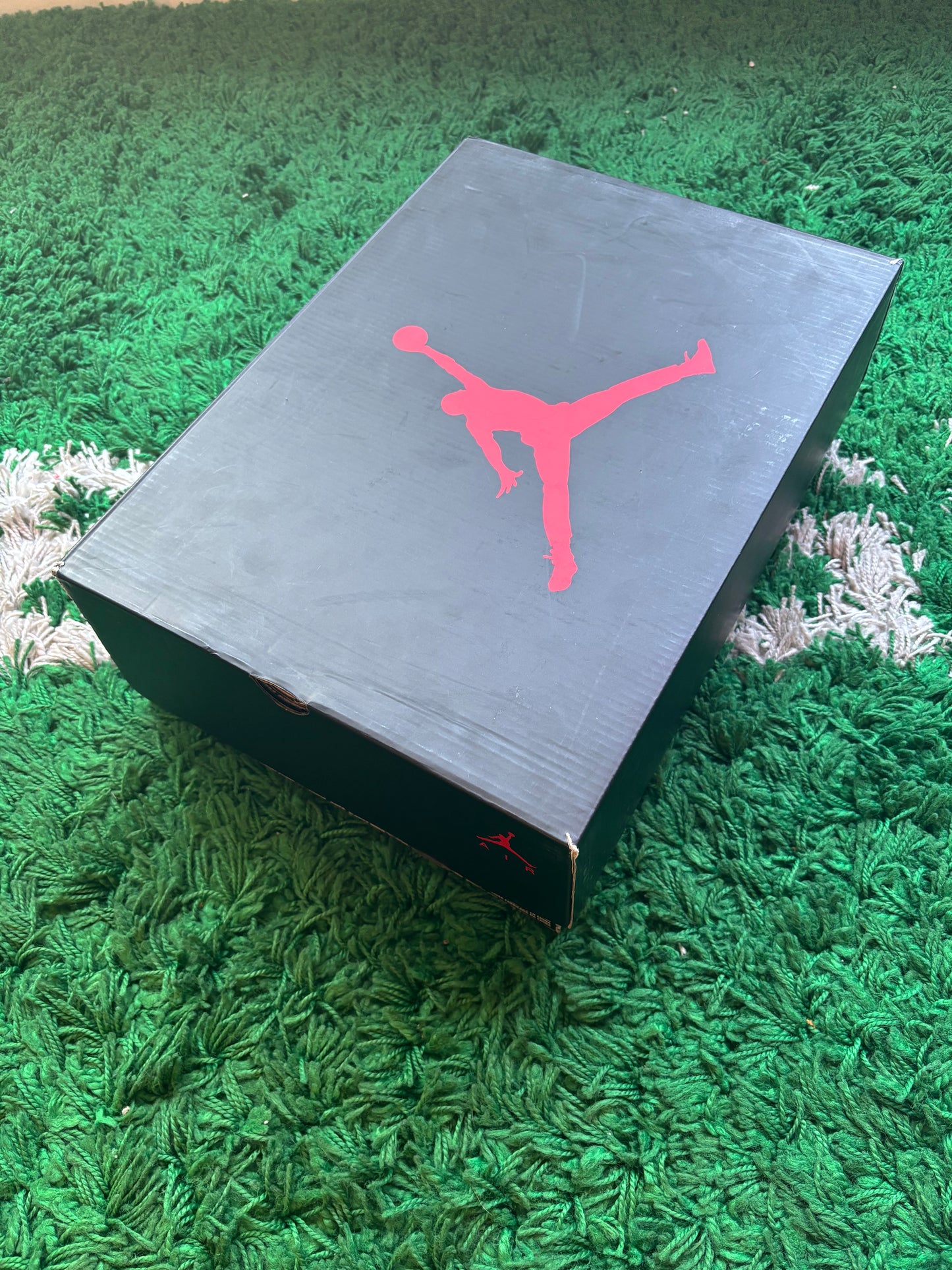 Jordan 5 “What The”
