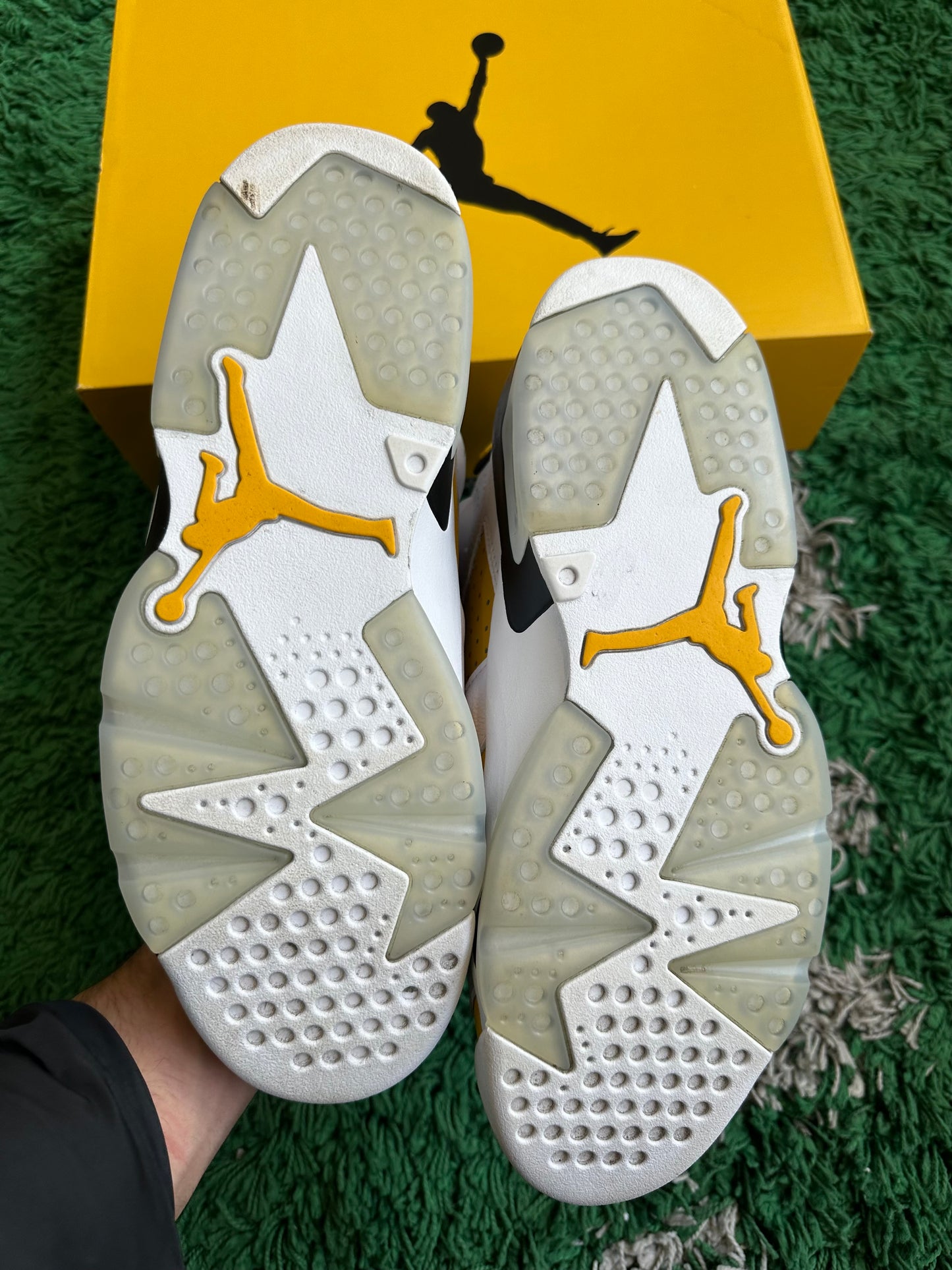 Jordan 6 “Yellow Ochre”