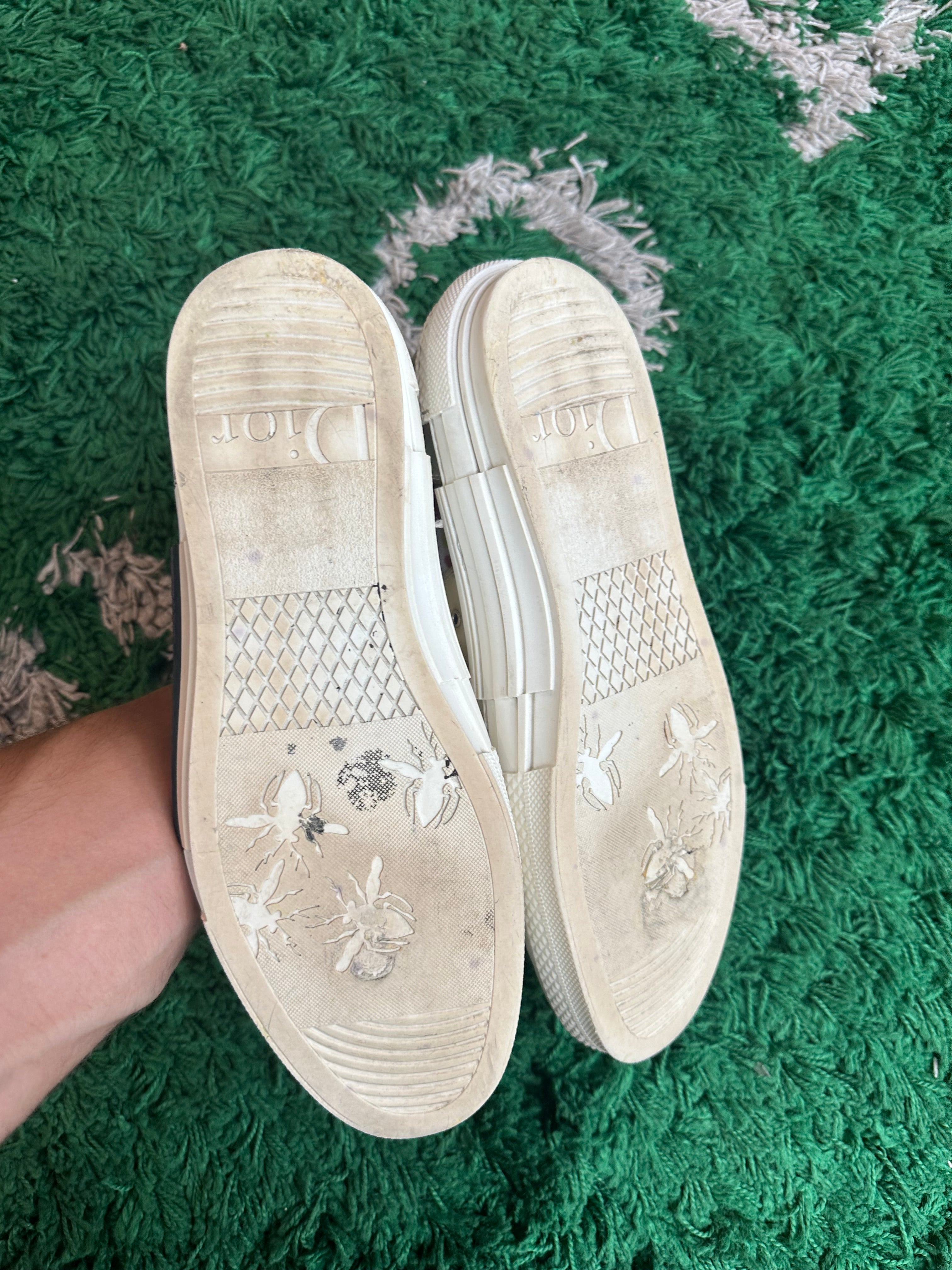 Dior Converse High Top “Flowers”