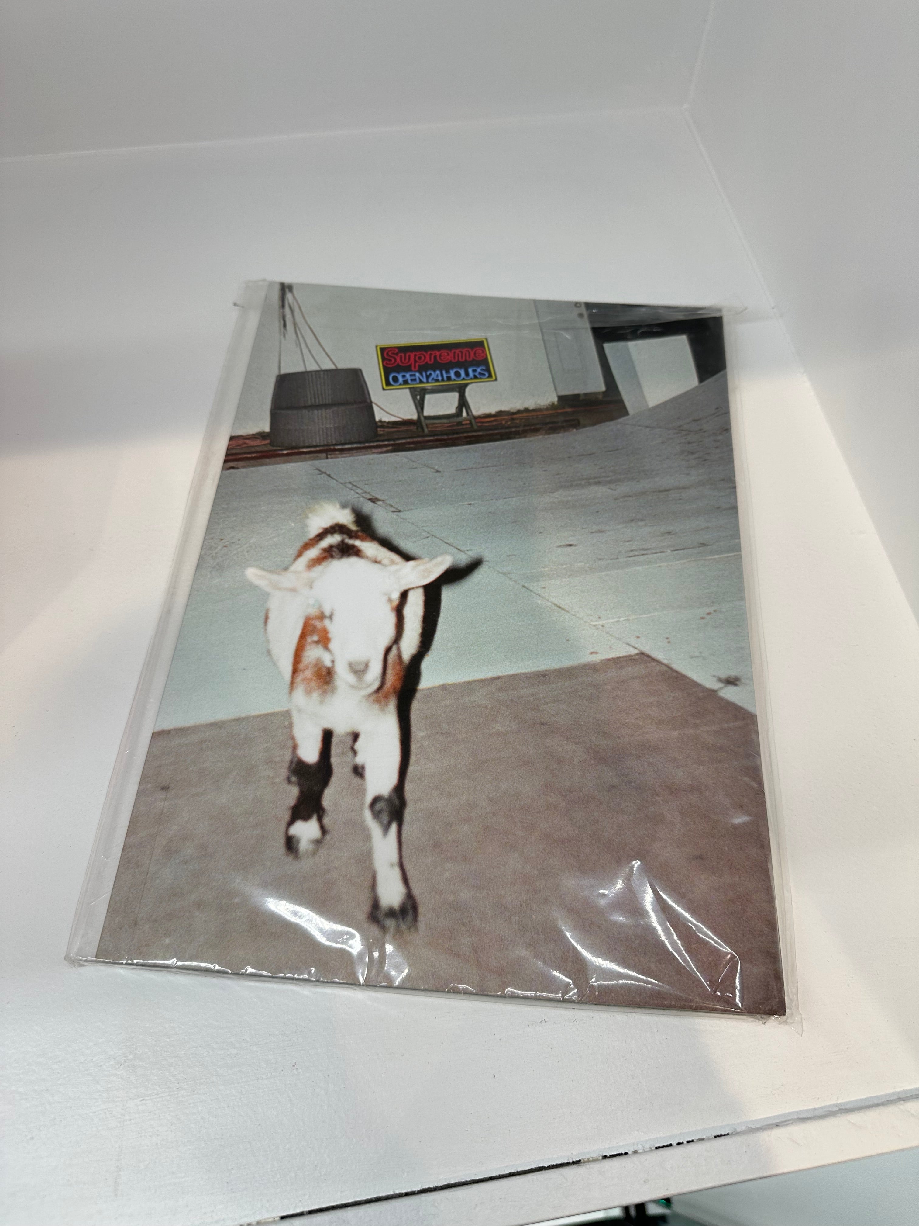 Supreme Book “Sun Damage”