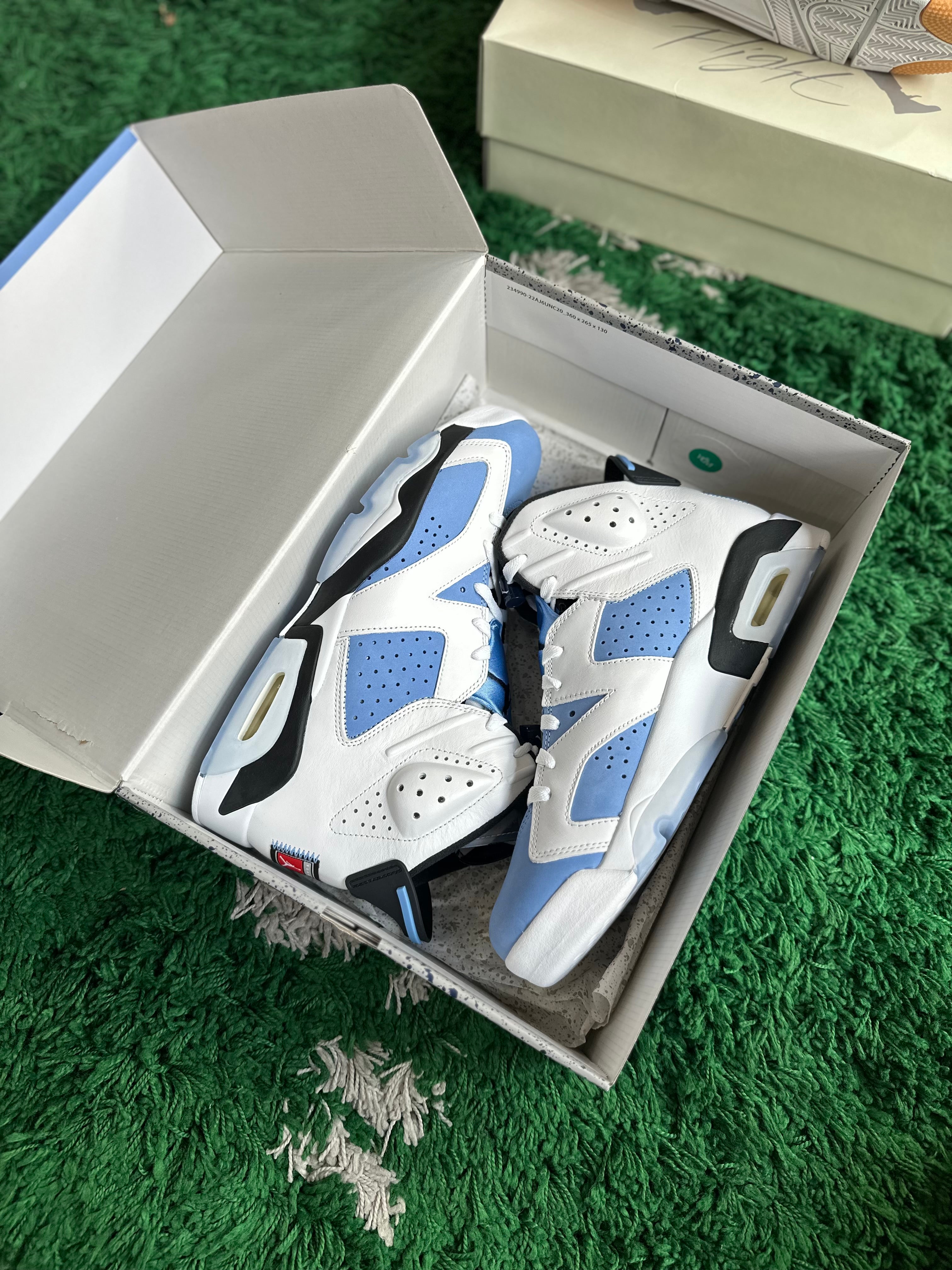 Jordan 6 “UNC”