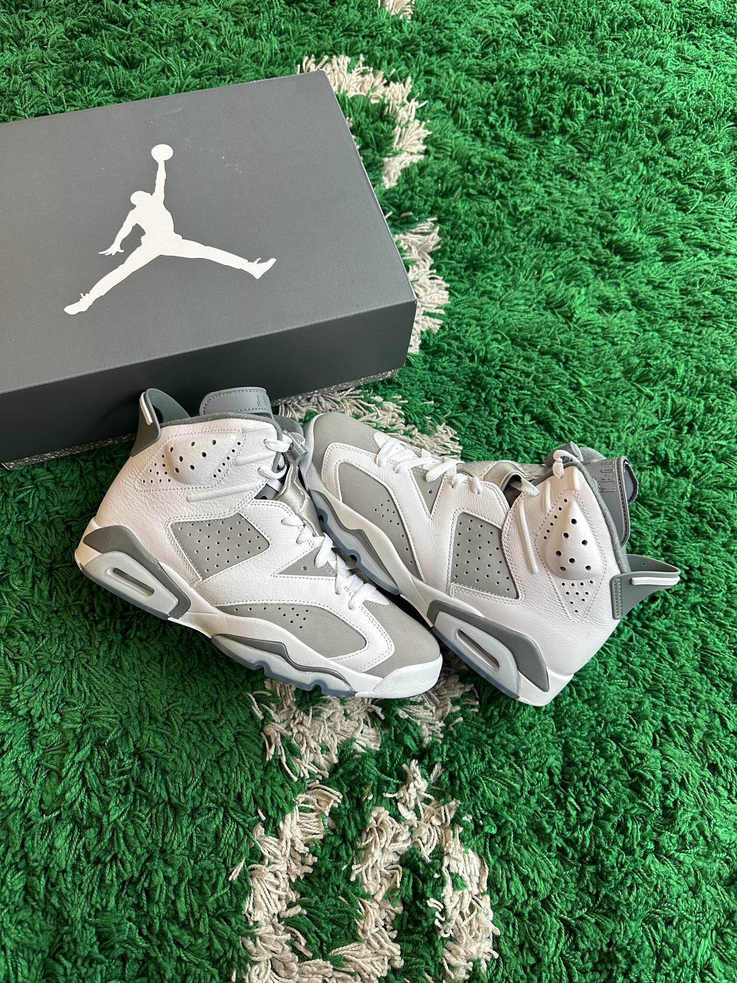 Jordan 6 “Cool Grey”
