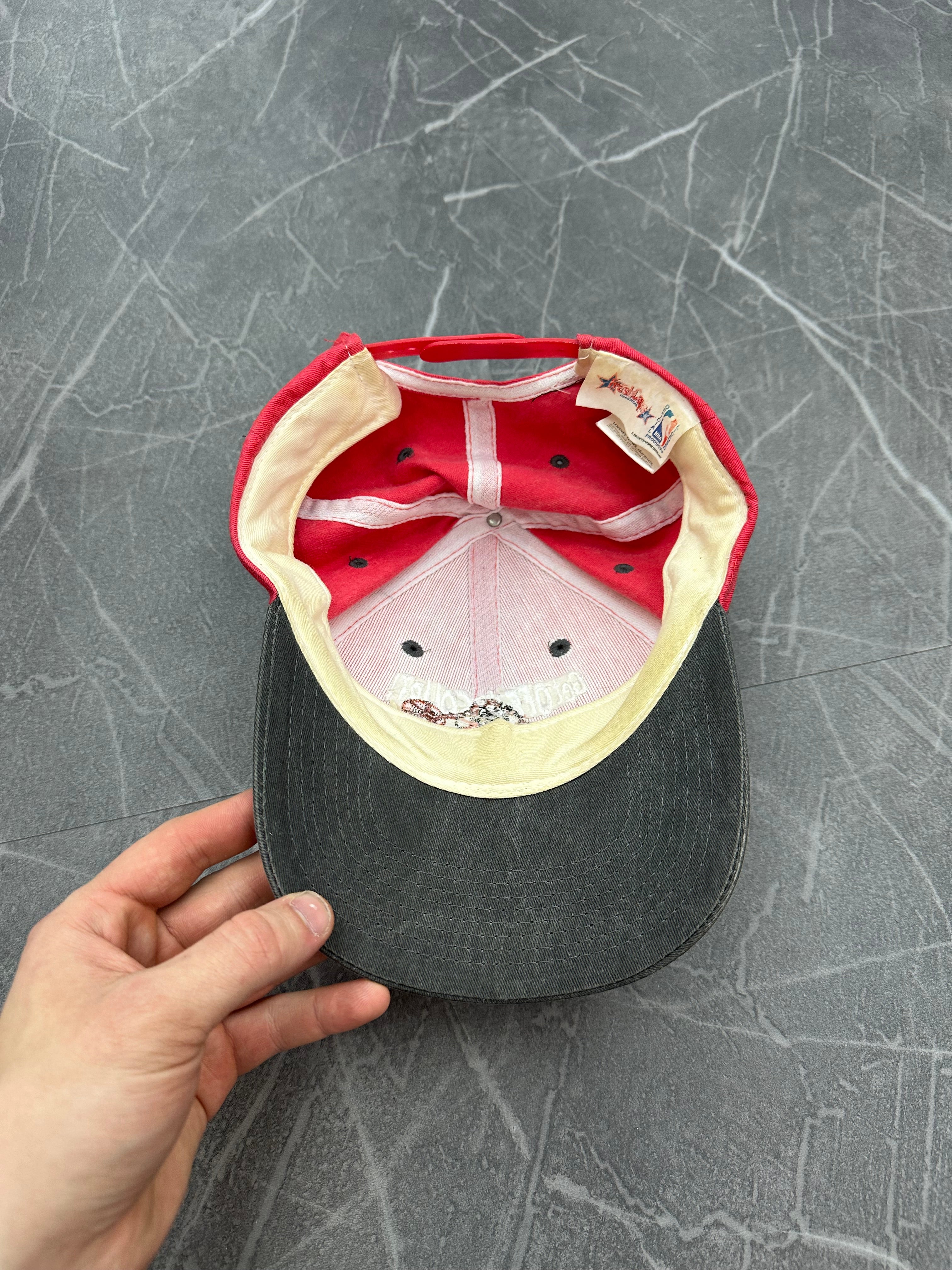 Vintage Tasmanian Devil Chicago Bulls Hat