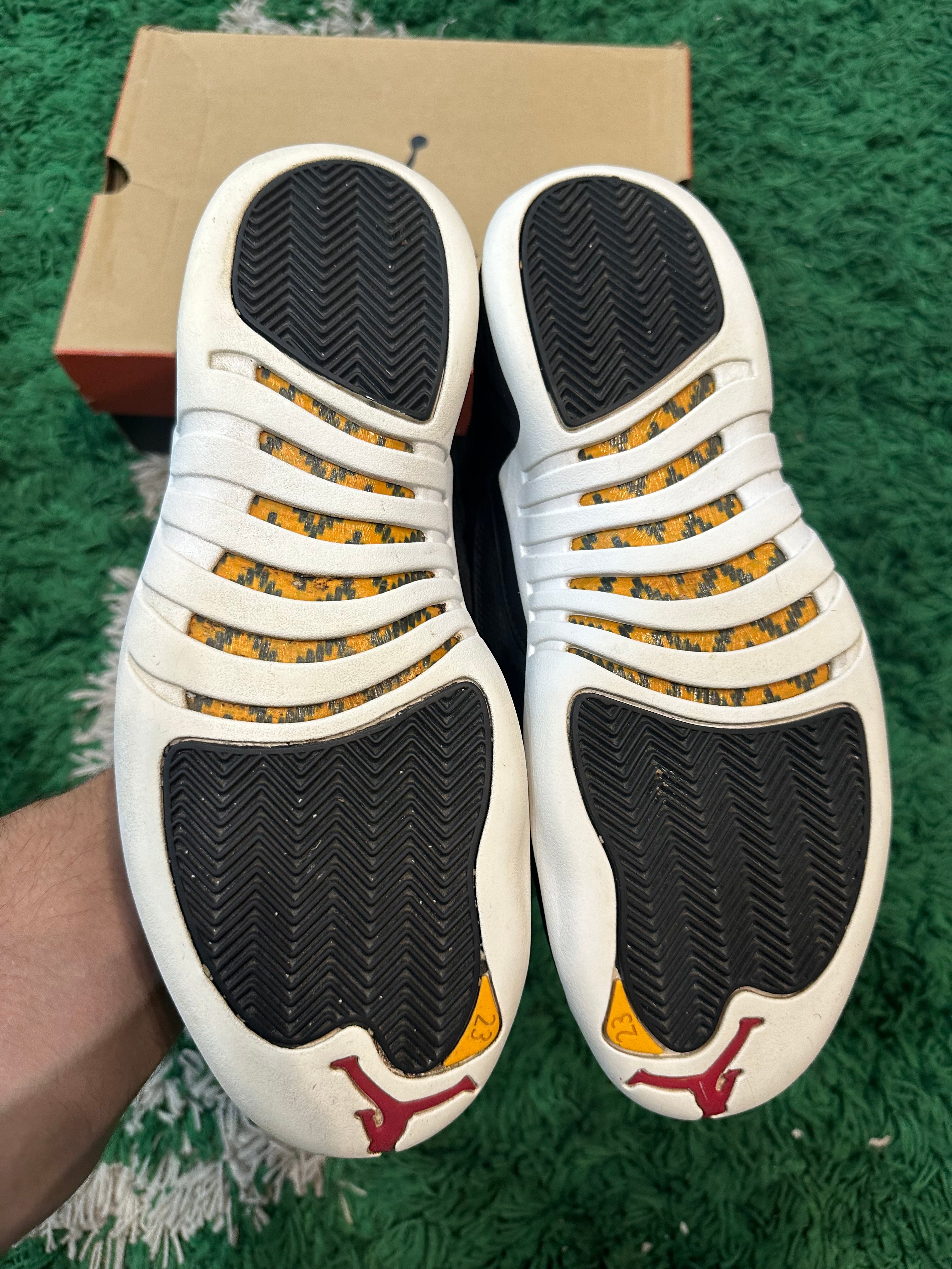 Jordan 12 “Reverse Taxi”