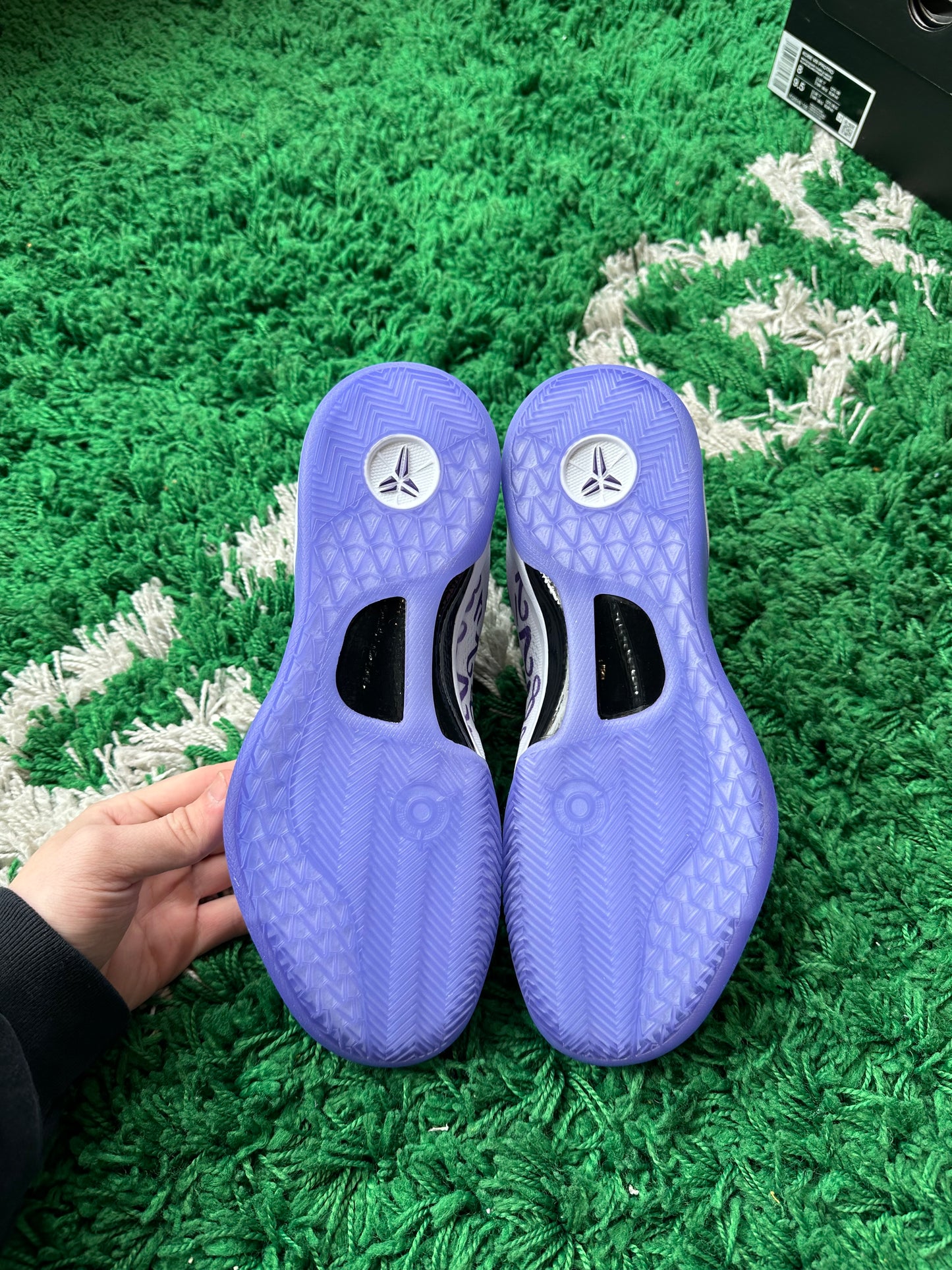 Kobe 8 Protro “Court Purple”