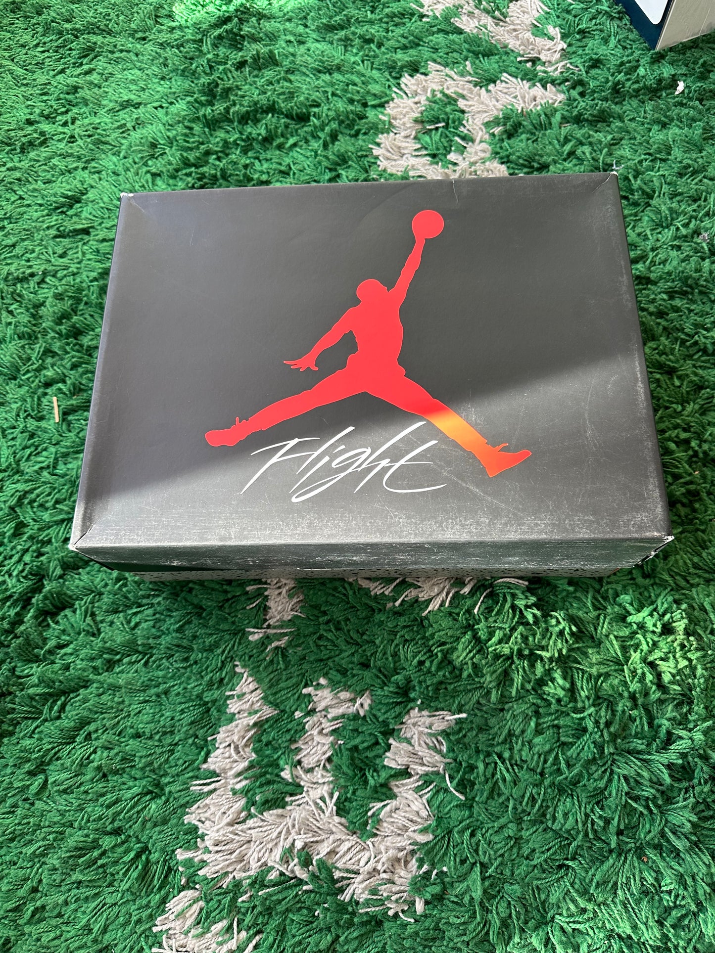 Jordan 4 “Military Blue”