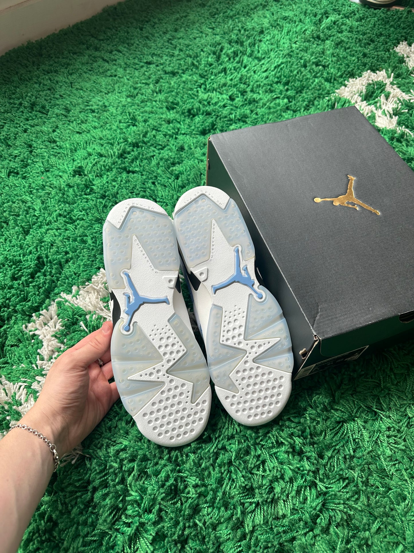Jordan 6 “UNC”