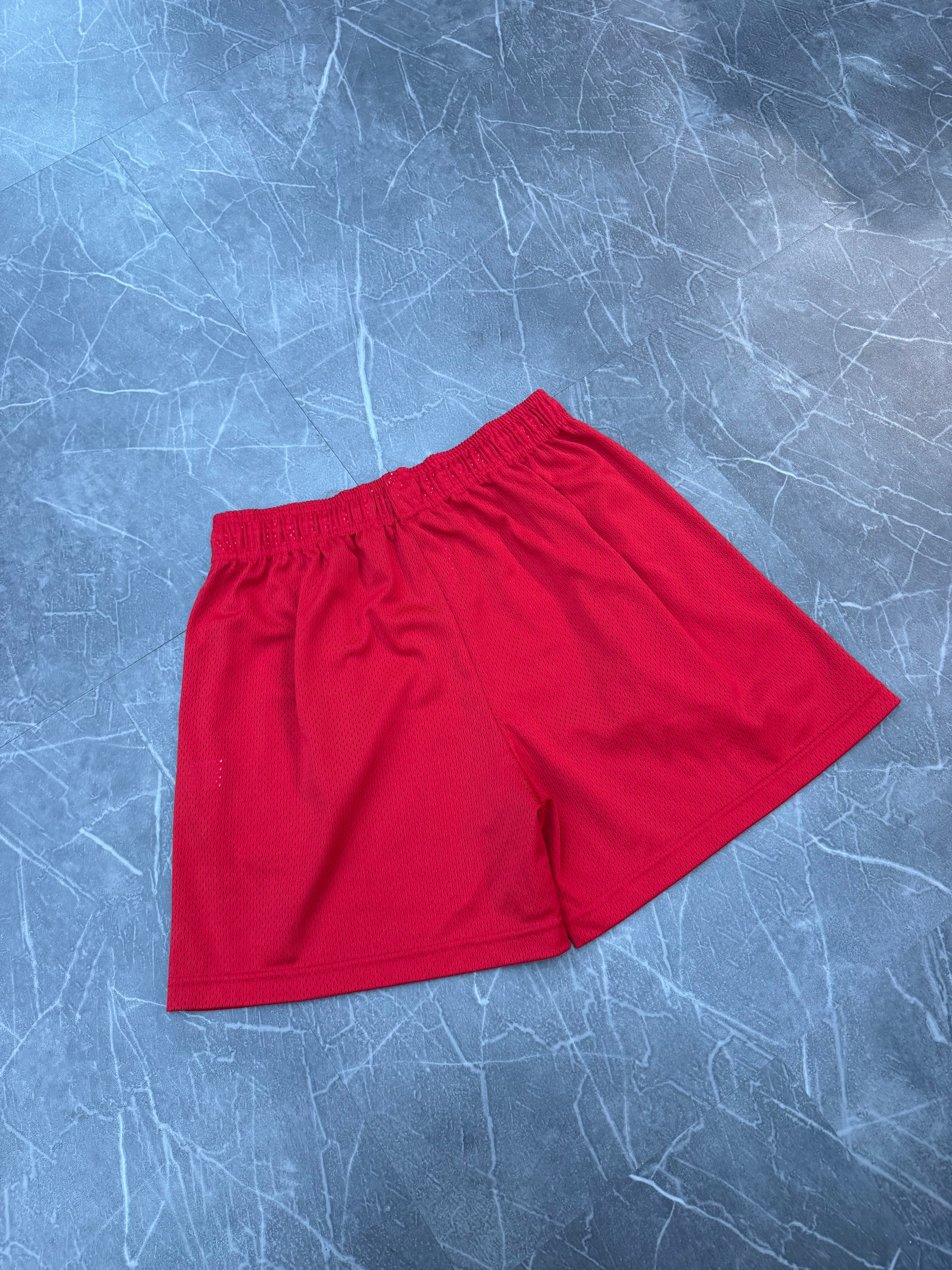 Eric Emanuel Shorts Lightning Bolt Red