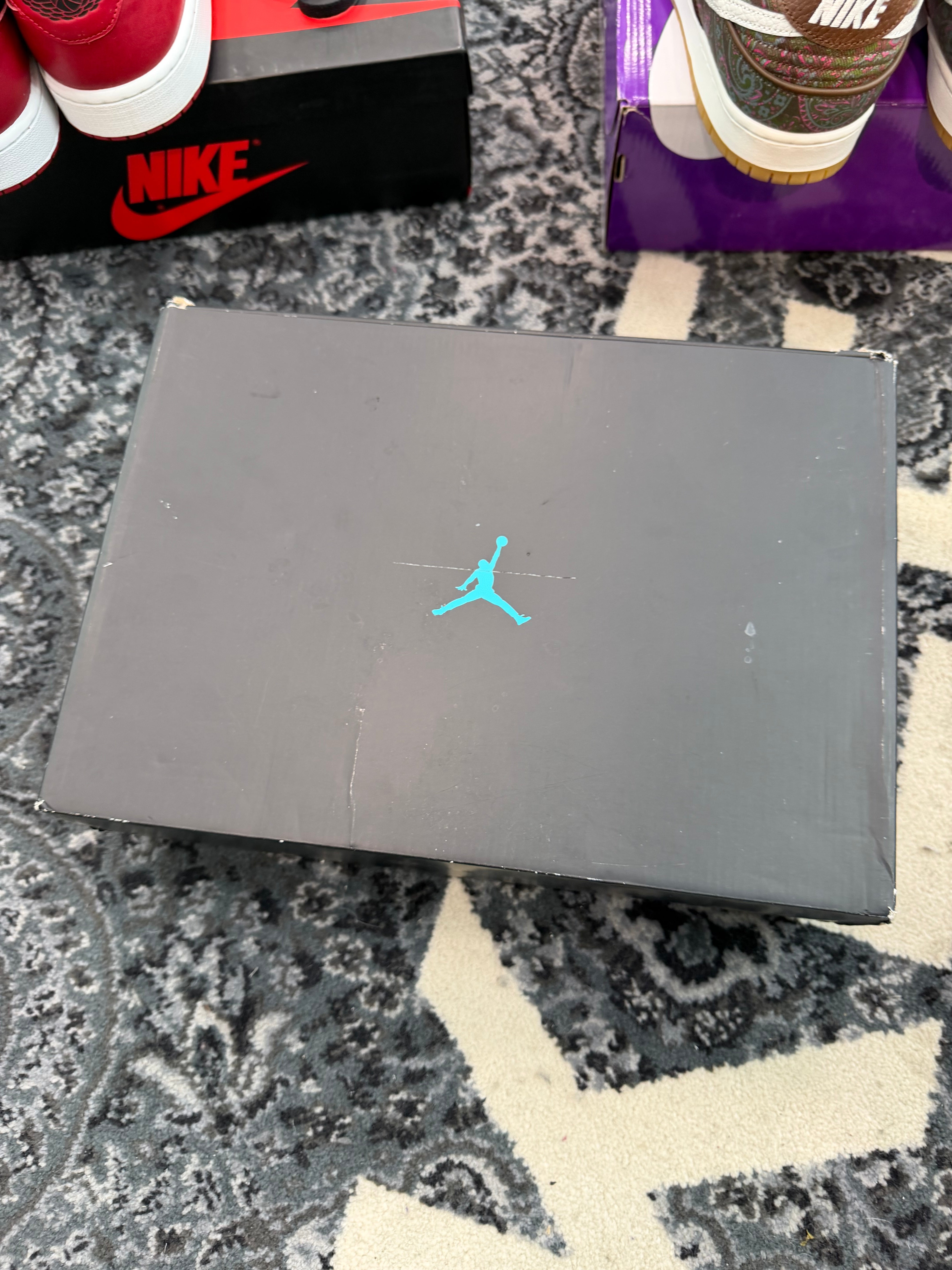 Jordan 11 “Gamma”