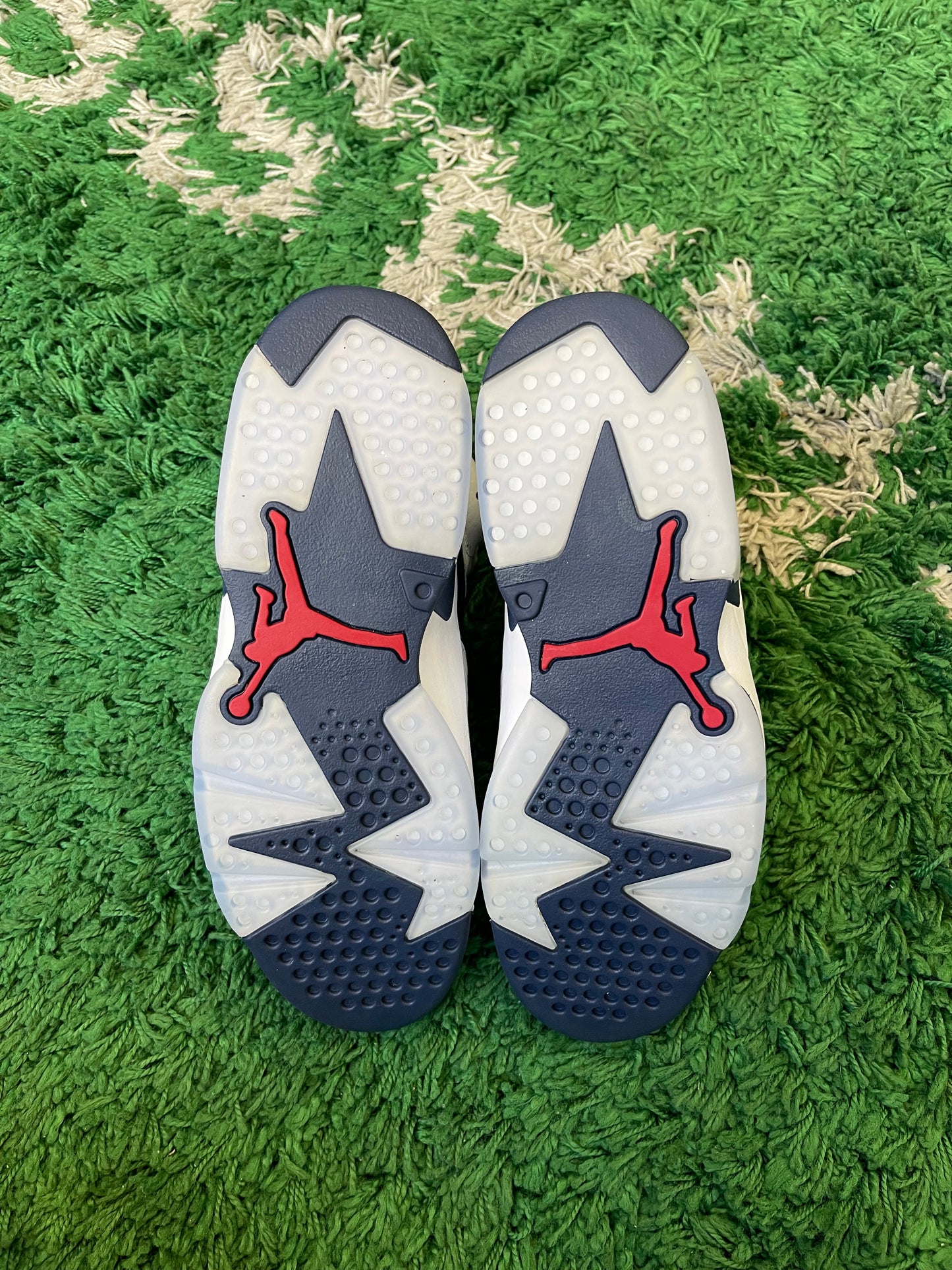 Jordan 6 “Olympic” (2024)