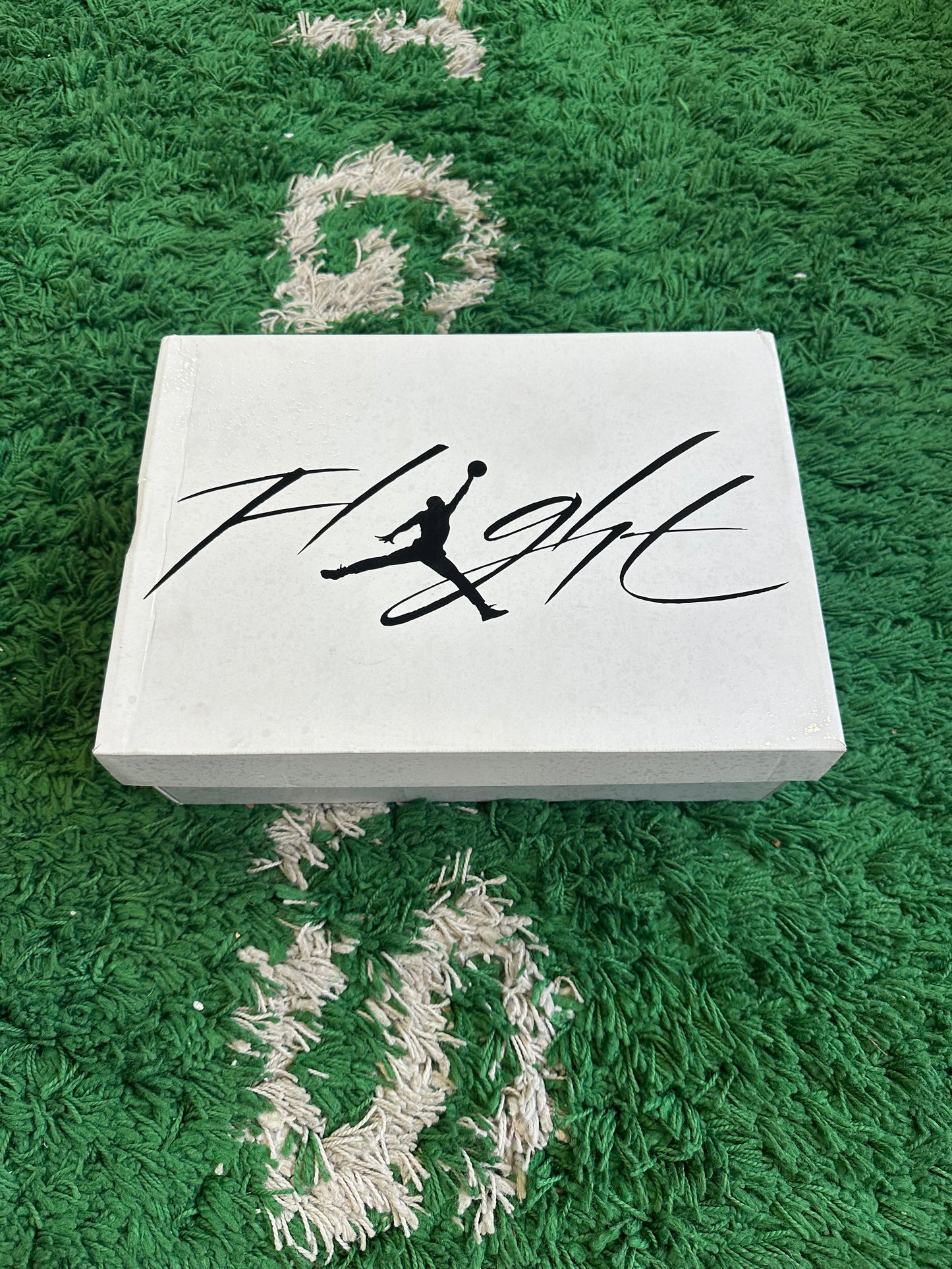 Jordan 4 “White Thunder”