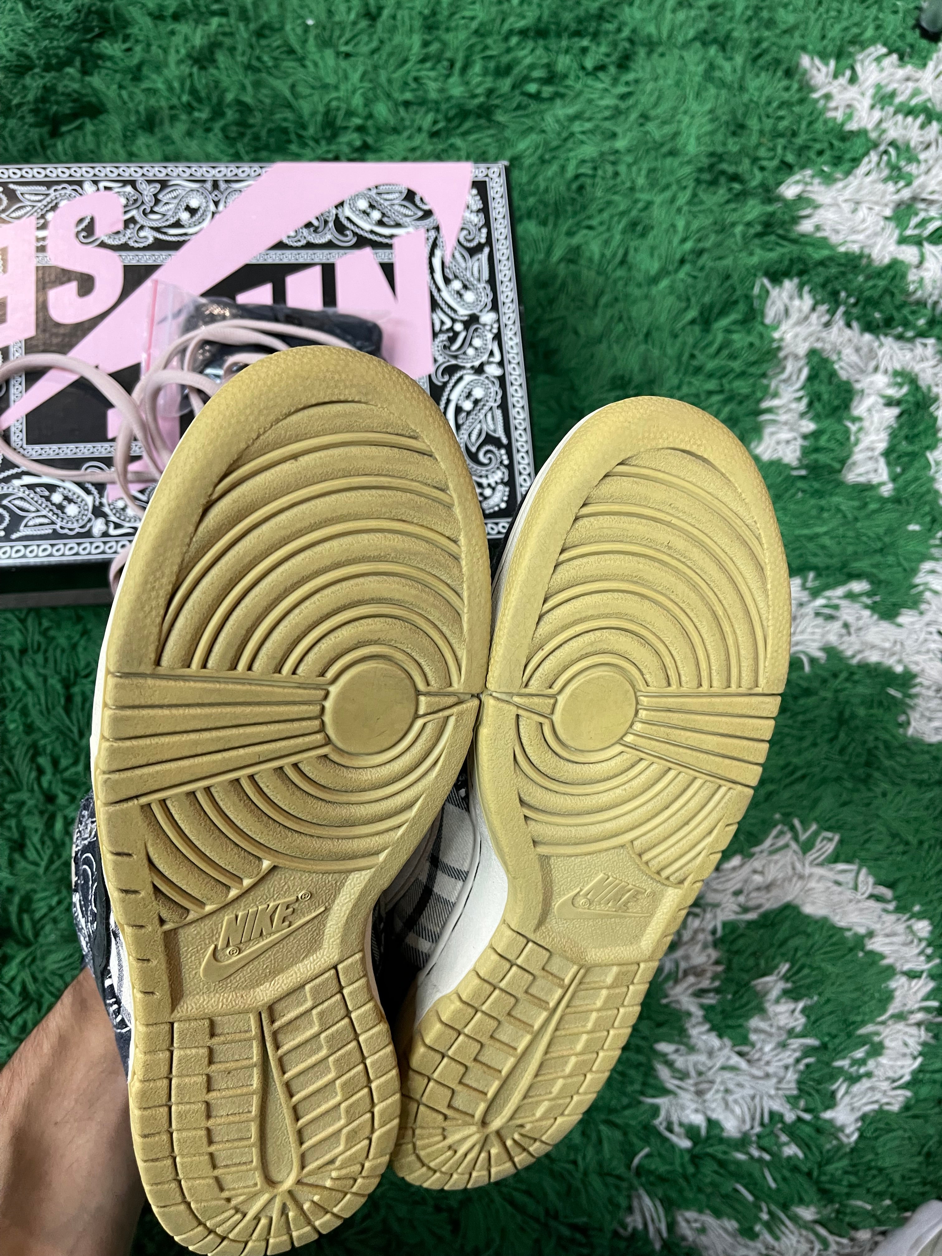 Nike Dunk Low SB “Travis Scott Special Box”