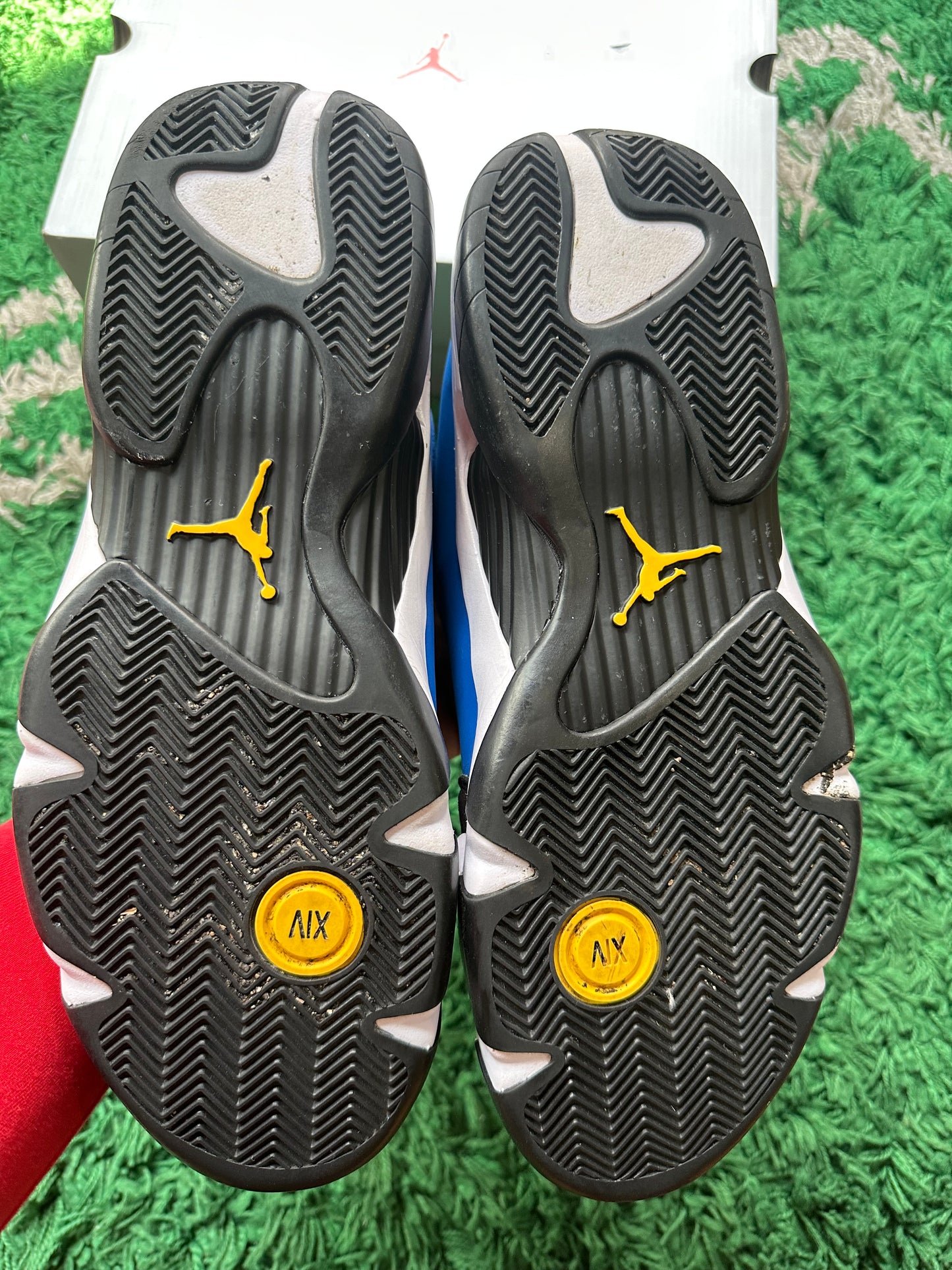 Jordan 14 “Laney”