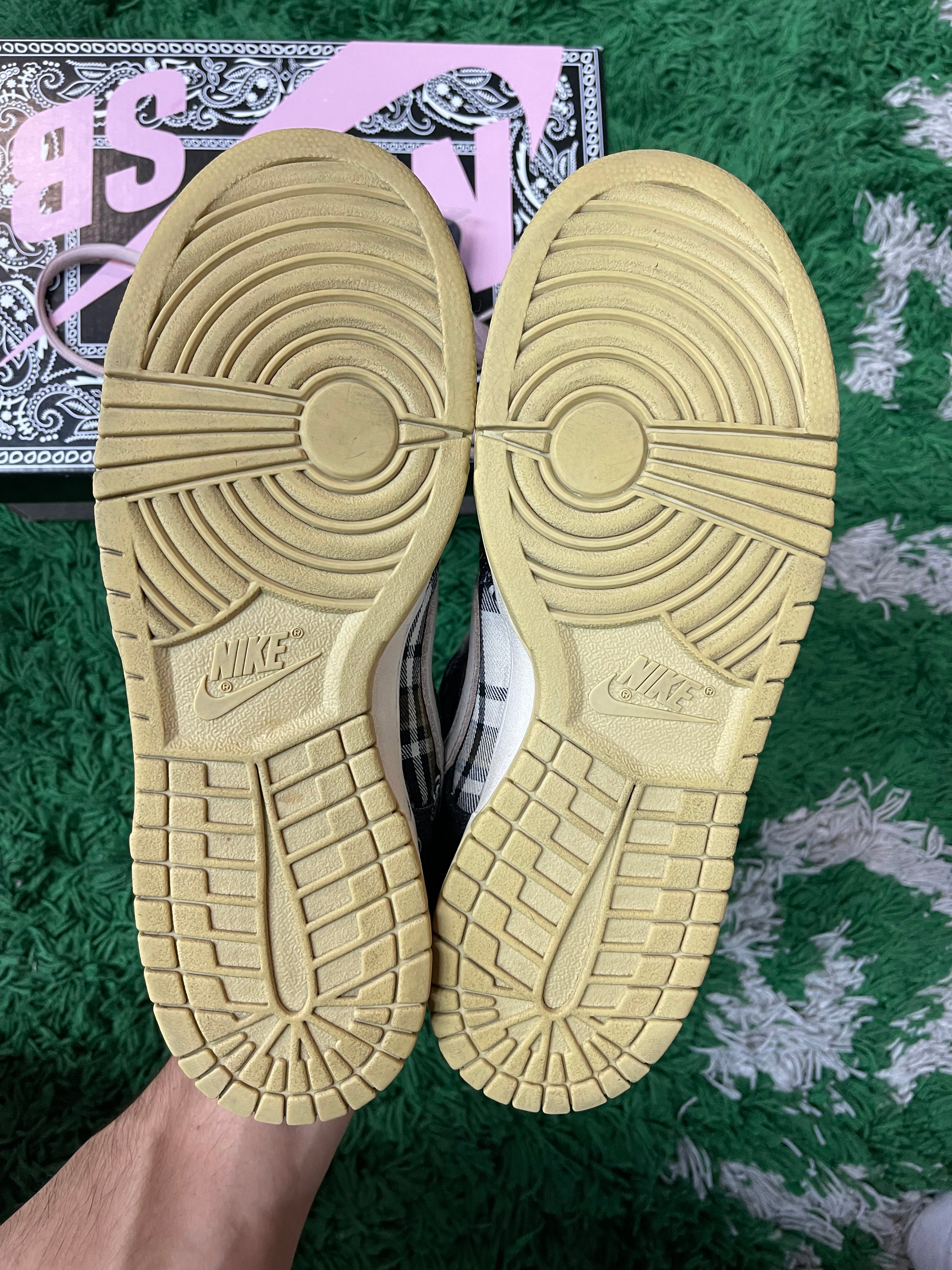 Nike Dunk Low SB “Travis Scott Special Box”