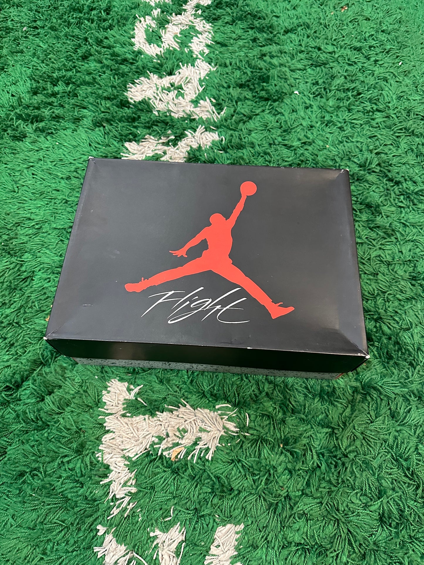 Jordan 4 “Military Blue”