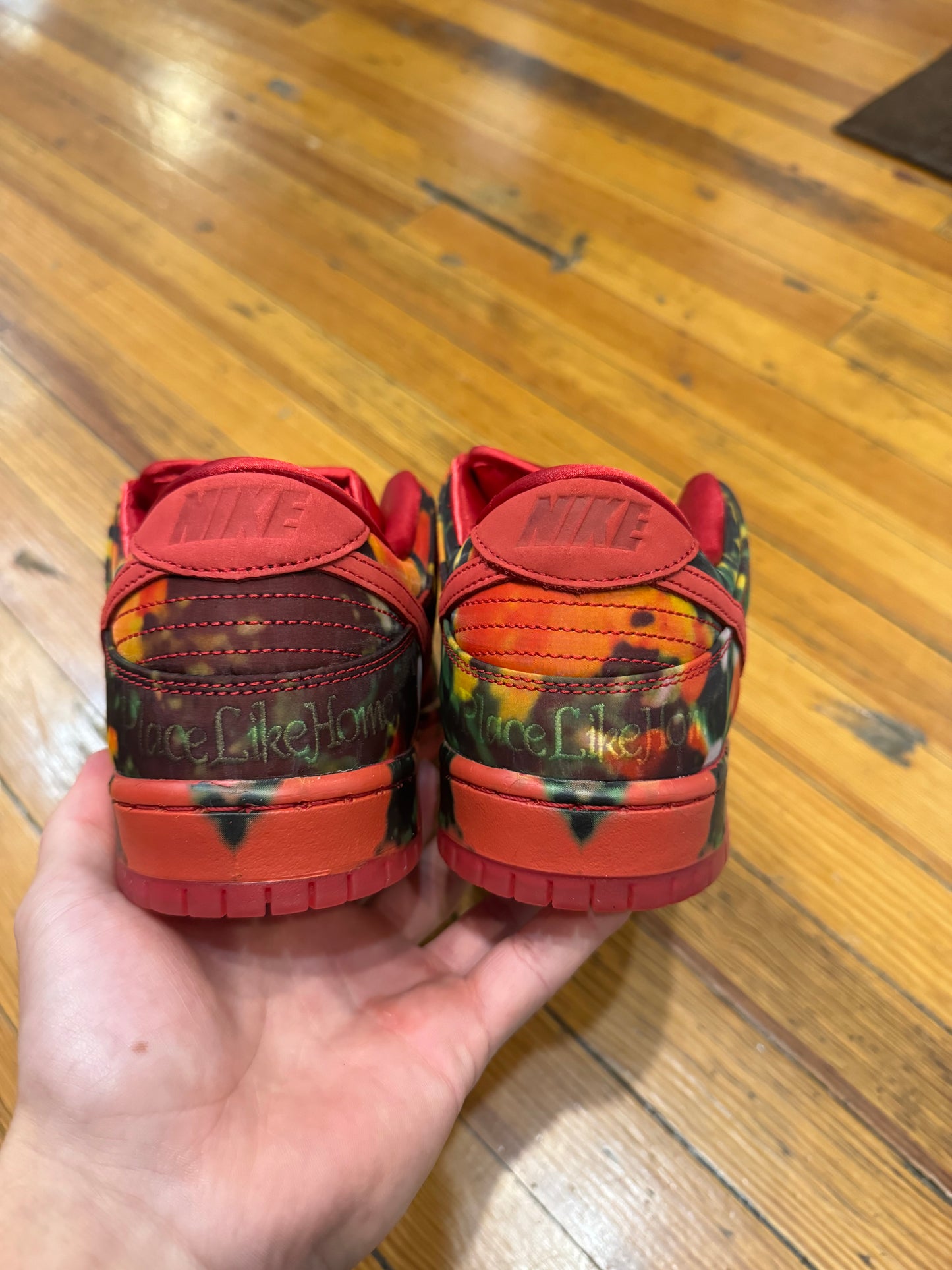 Nike Dunk Low SB “Wizard of Oz Poppy Field”