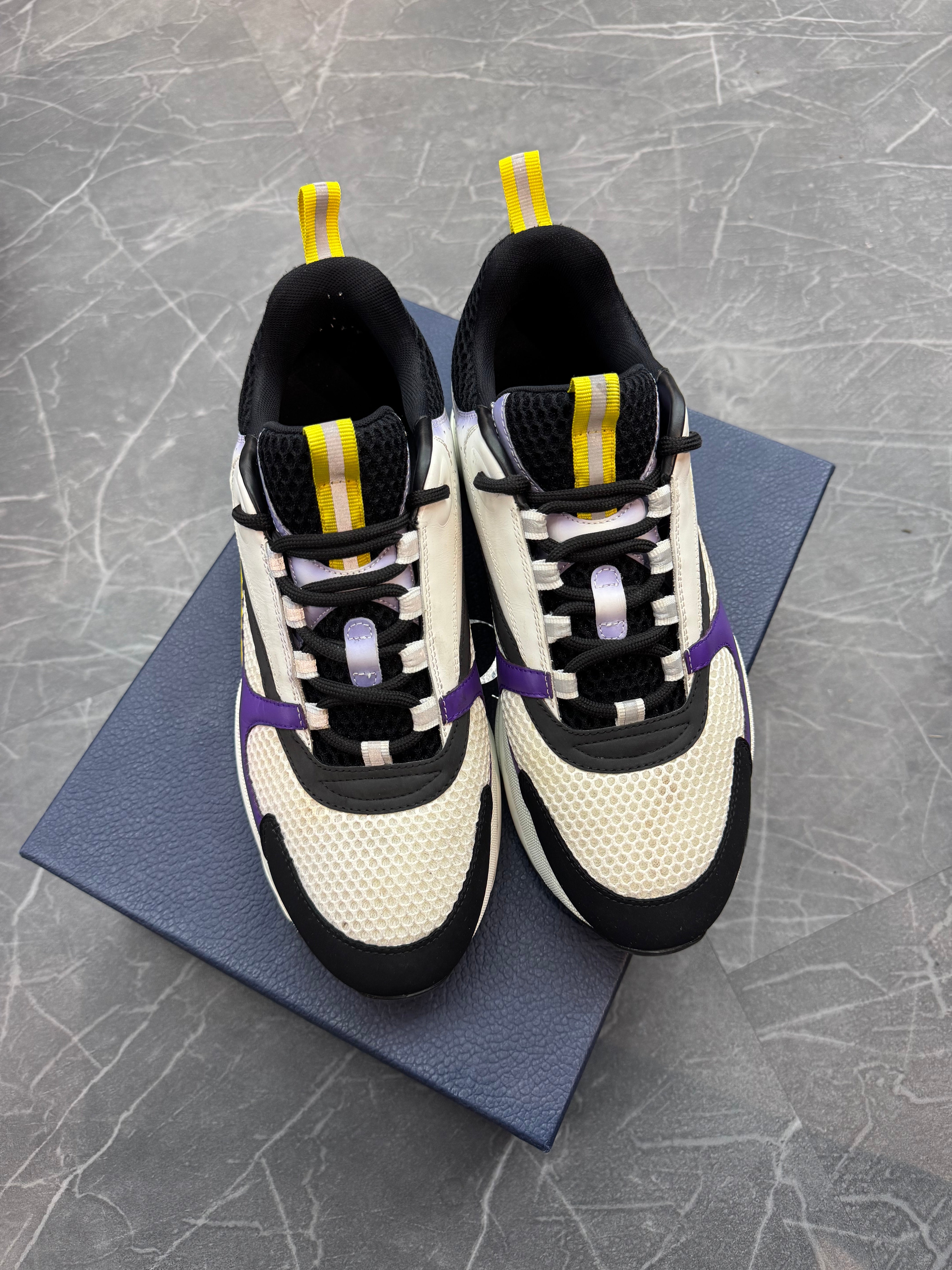 Dior B22 “Lakers”
