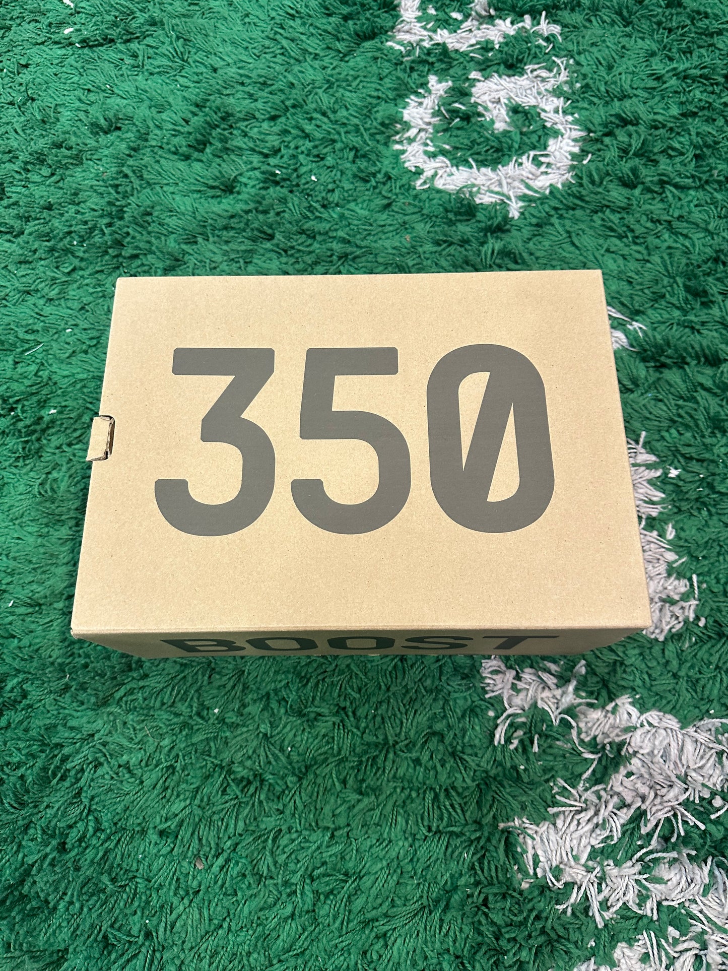 Yeezy 350 “Bred”