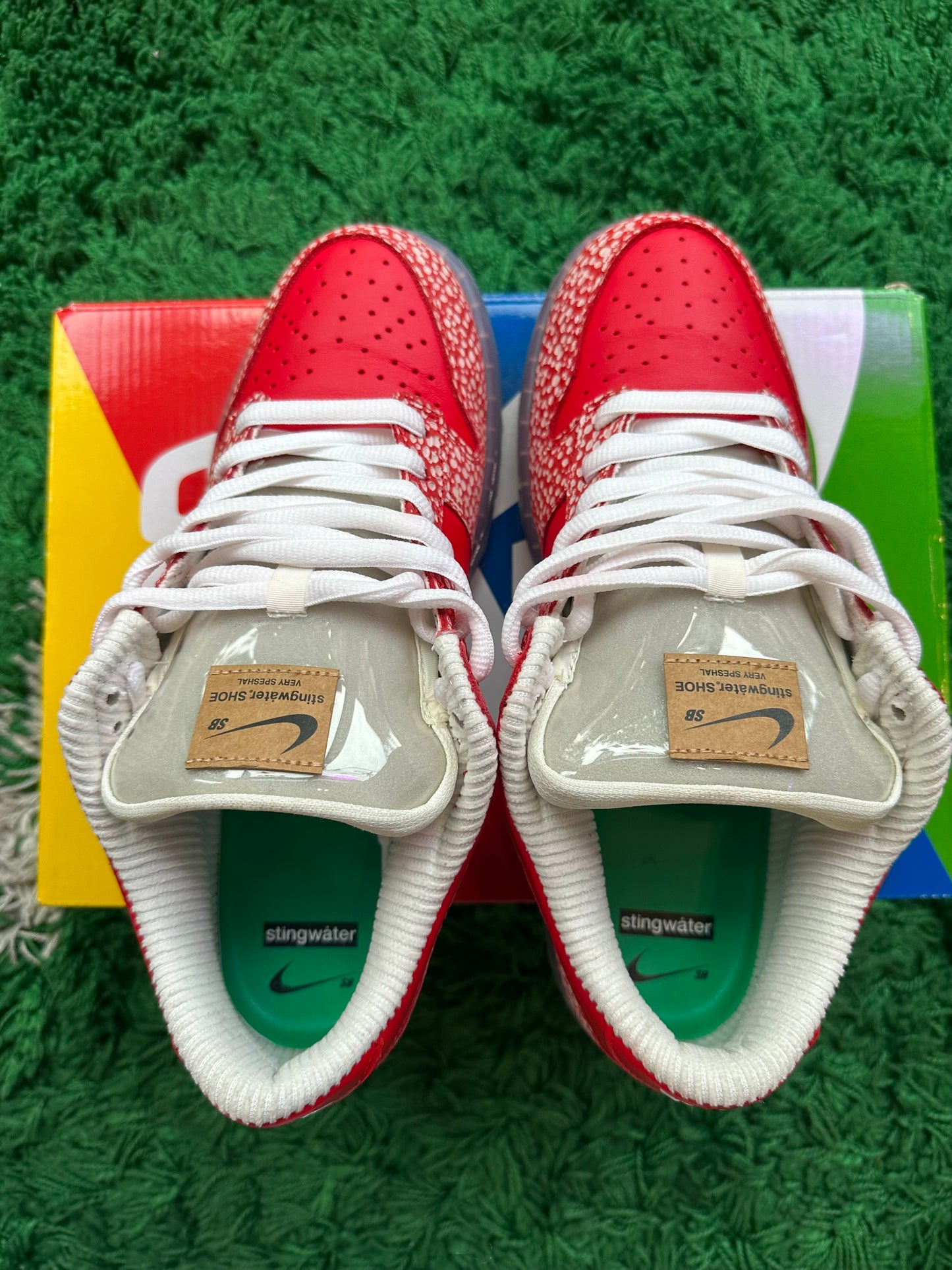 Nike Dunk Low SB “Stingwater”