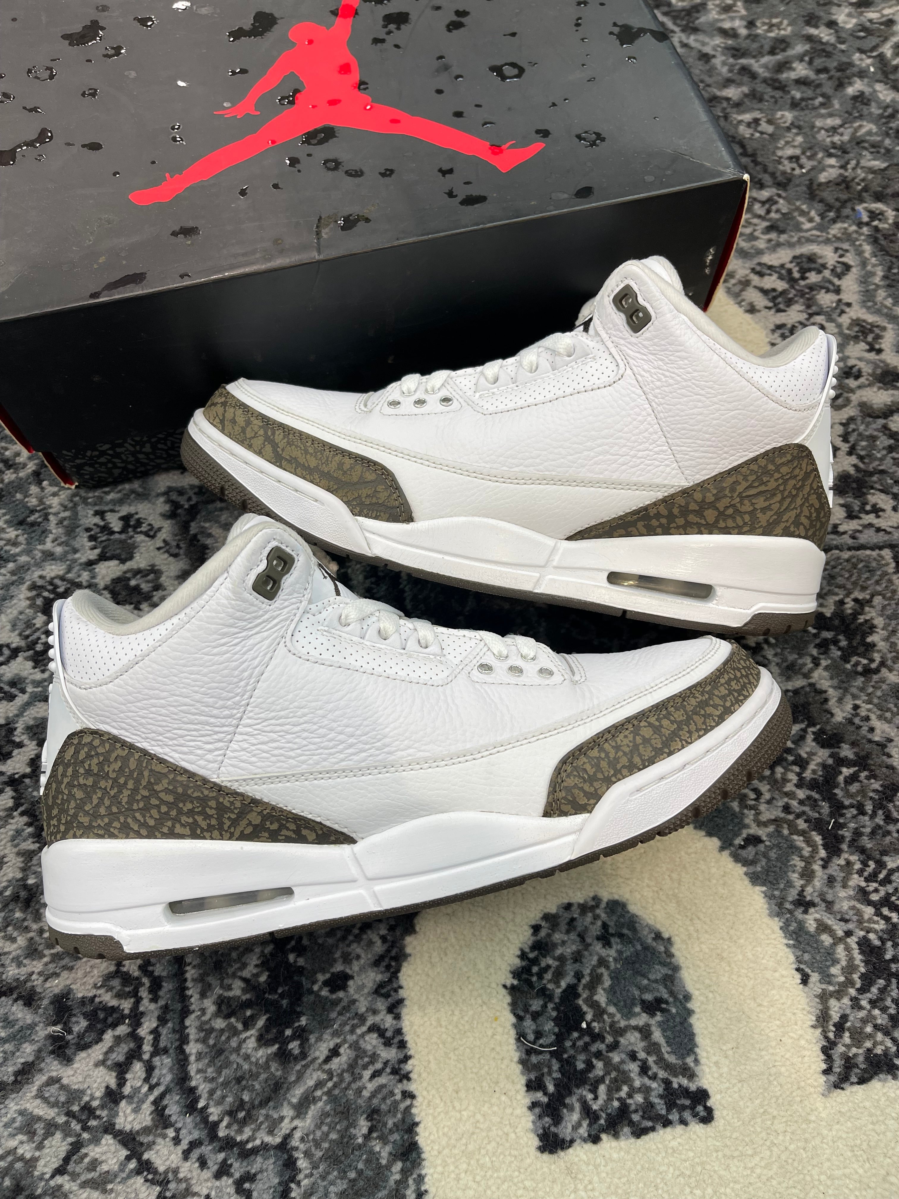 Jordan 3 “Mocha” (2018)