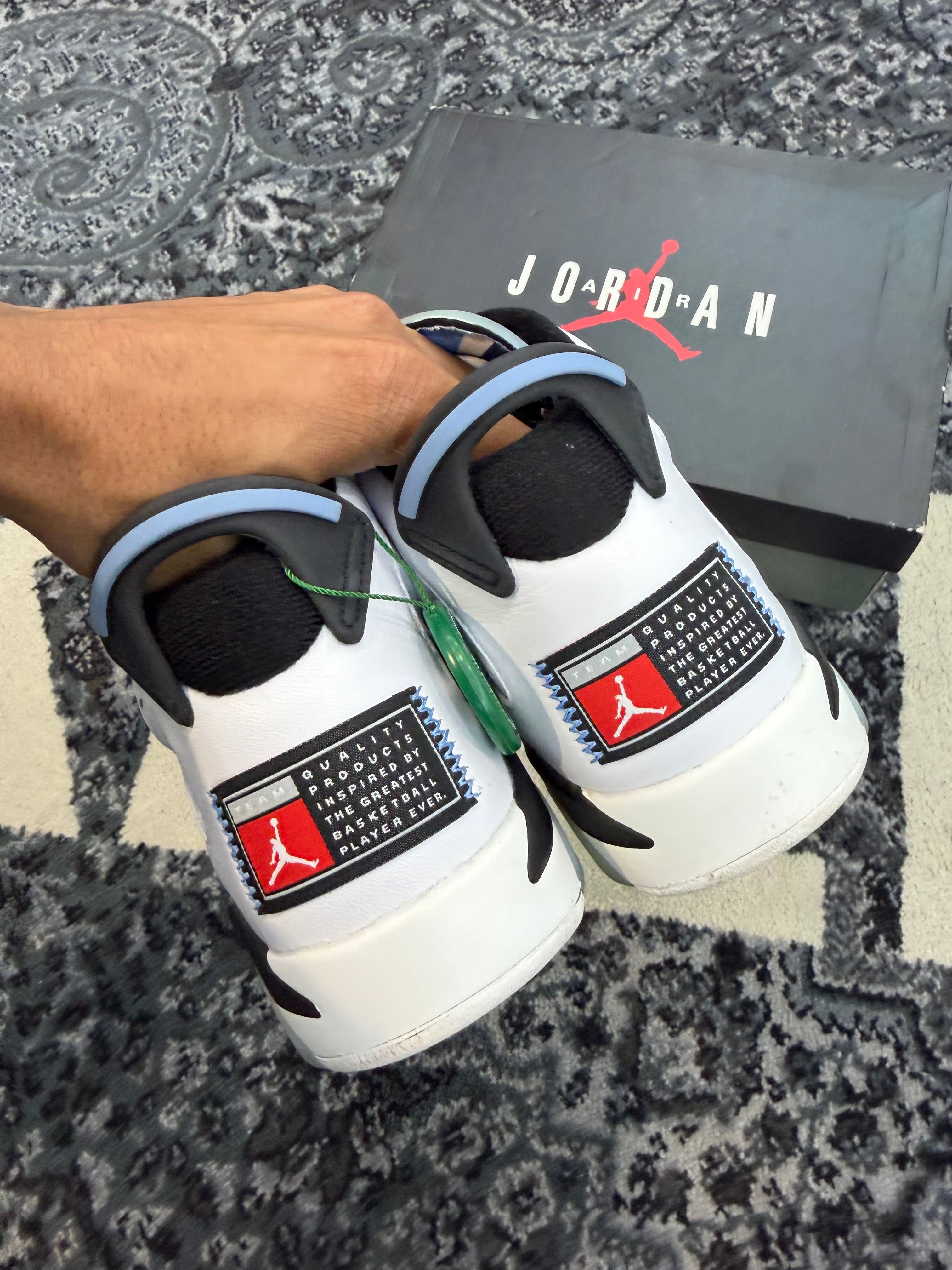 Jordan 6 “UNC”