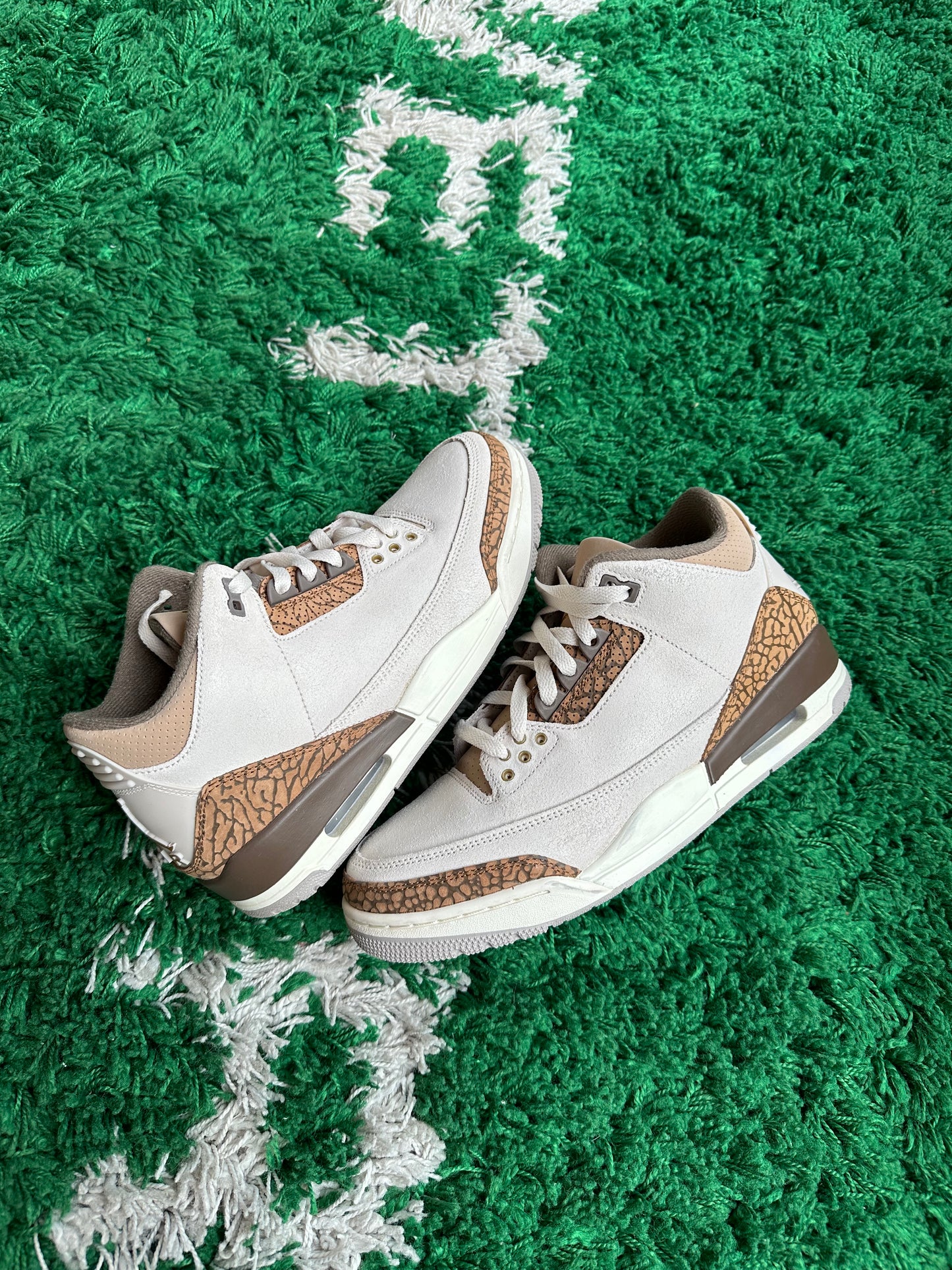 Jordan 3 “Palomino”