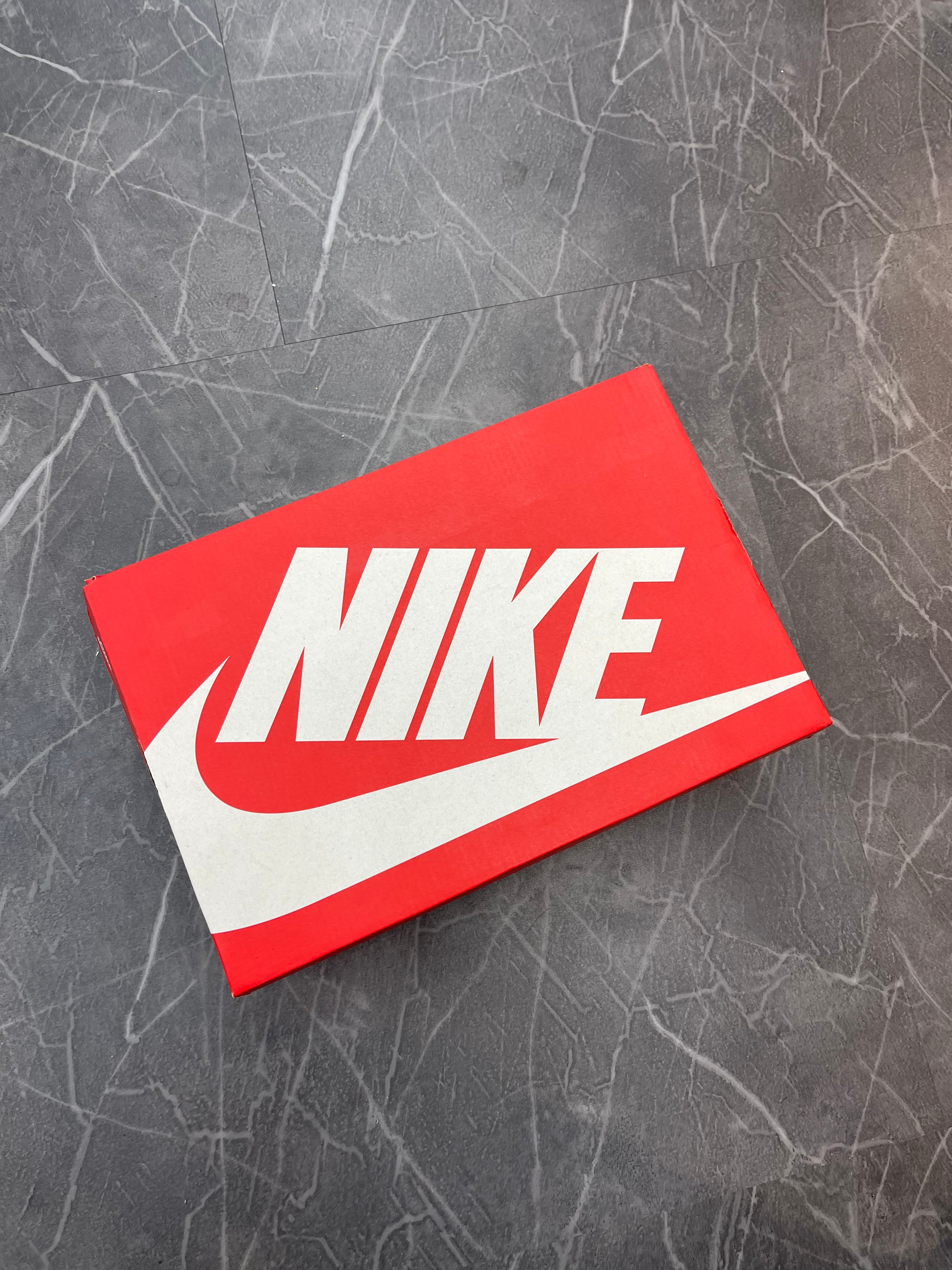 Nike Dunk Low “Berlin”