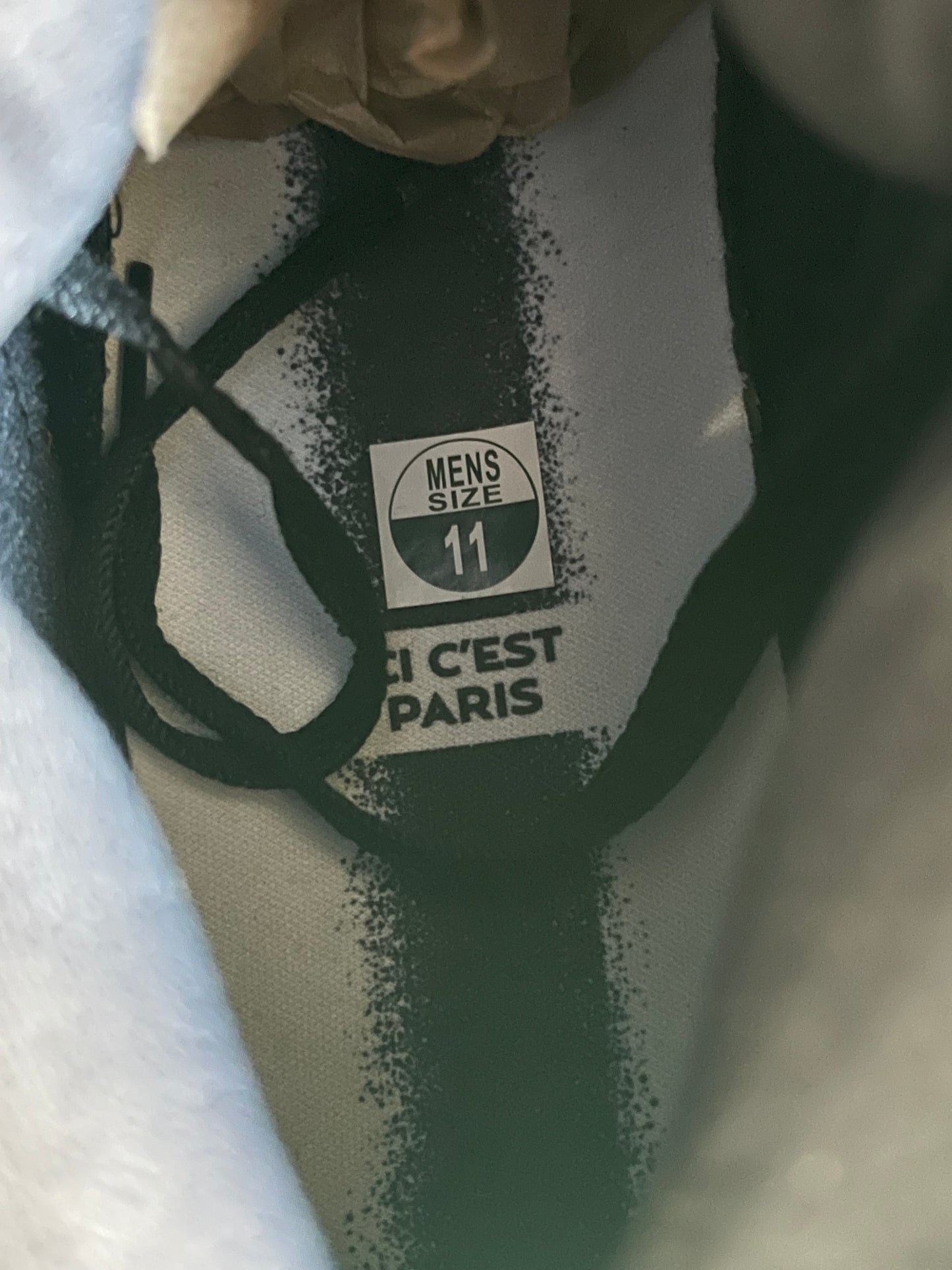 Jordan 5 PSG “Paris Saint German”