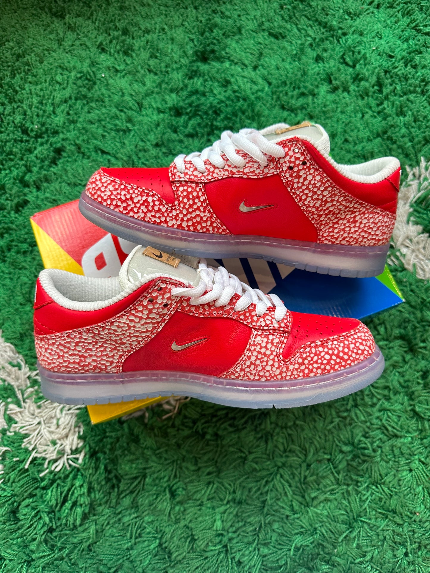 Nike Dunk Low SB “Stingwater”