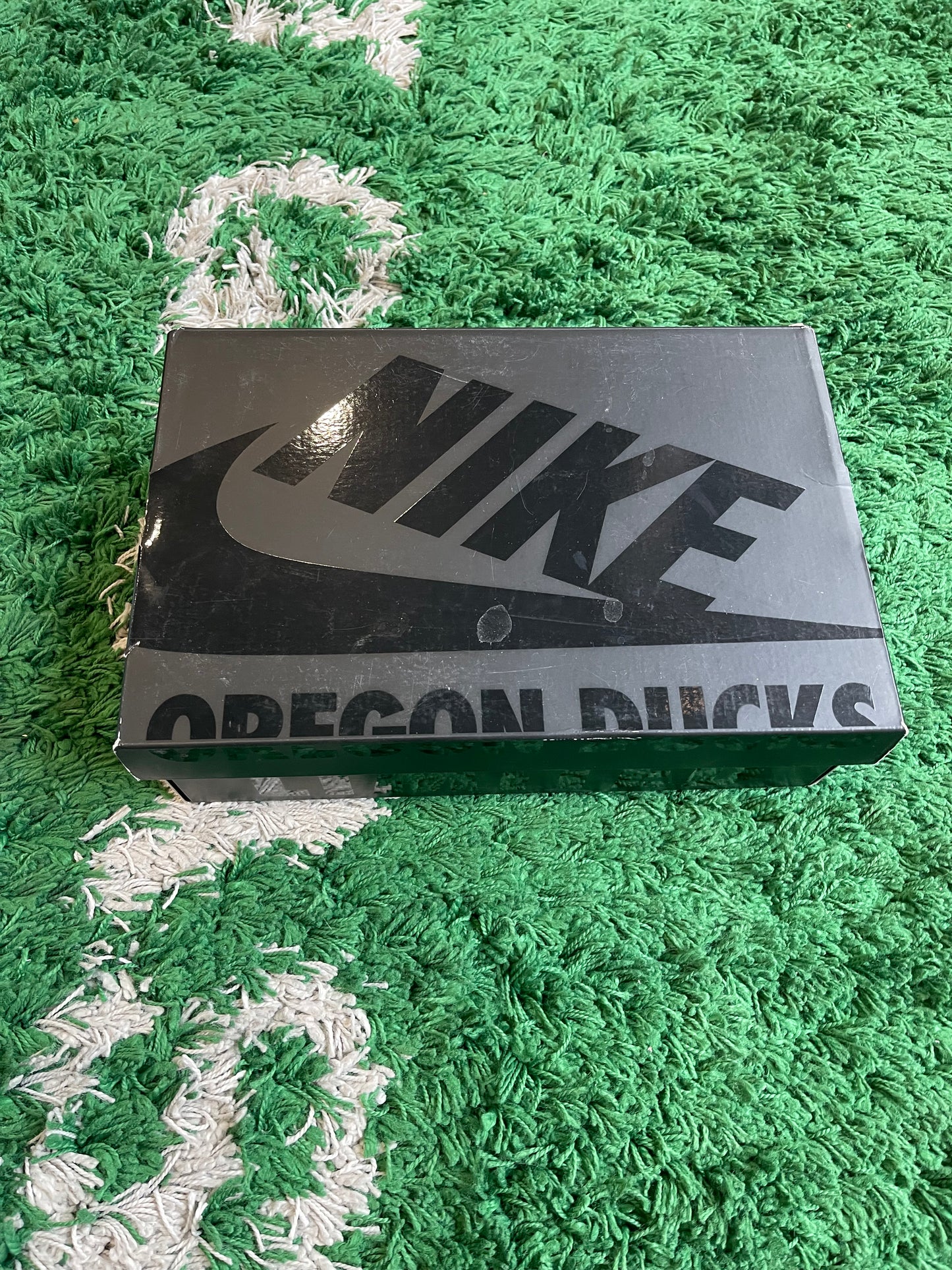 Nike Dunk Low “Oregon PE Duck of a Feather”