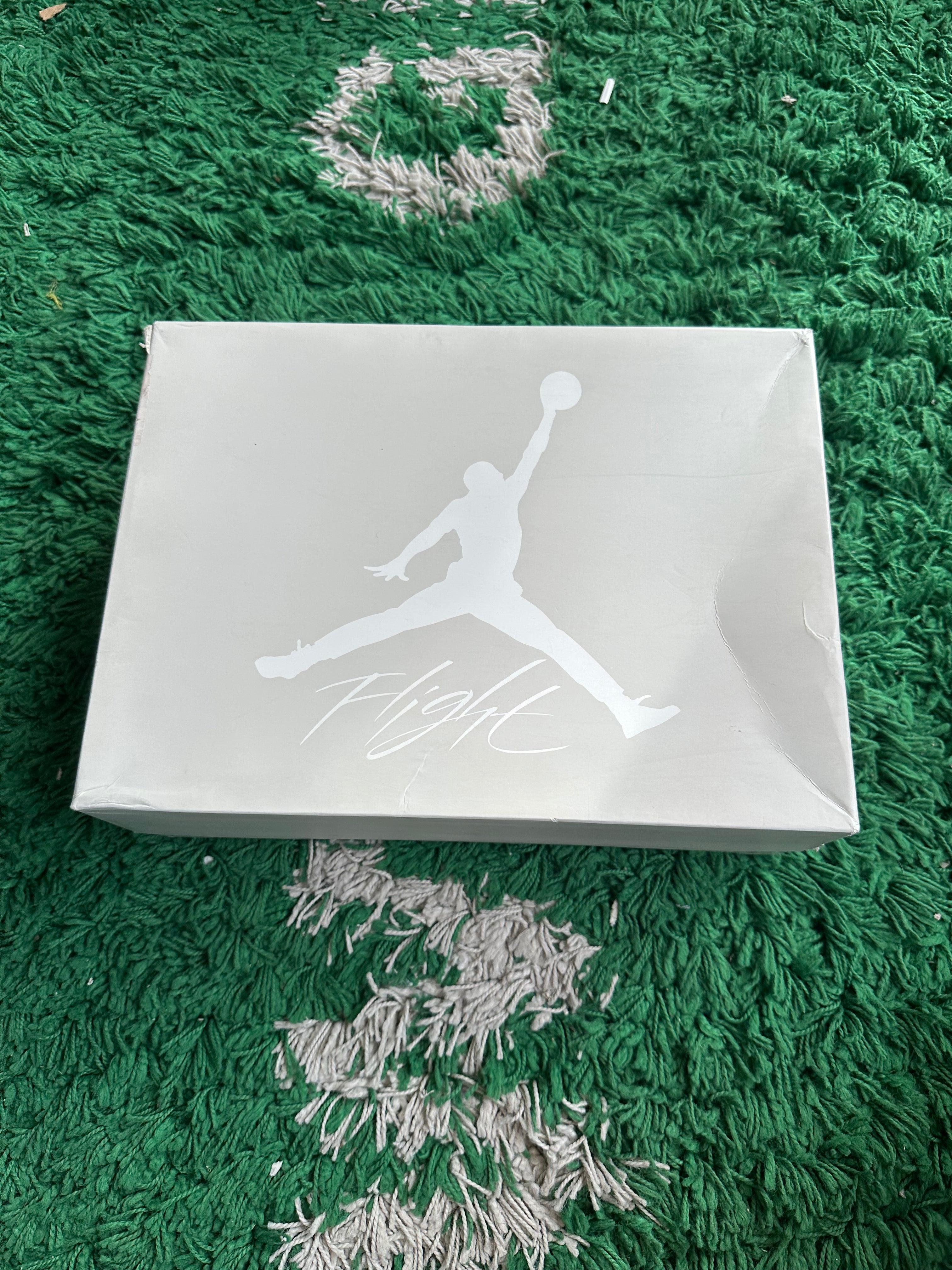 Jordan 4 “Snakeskin”