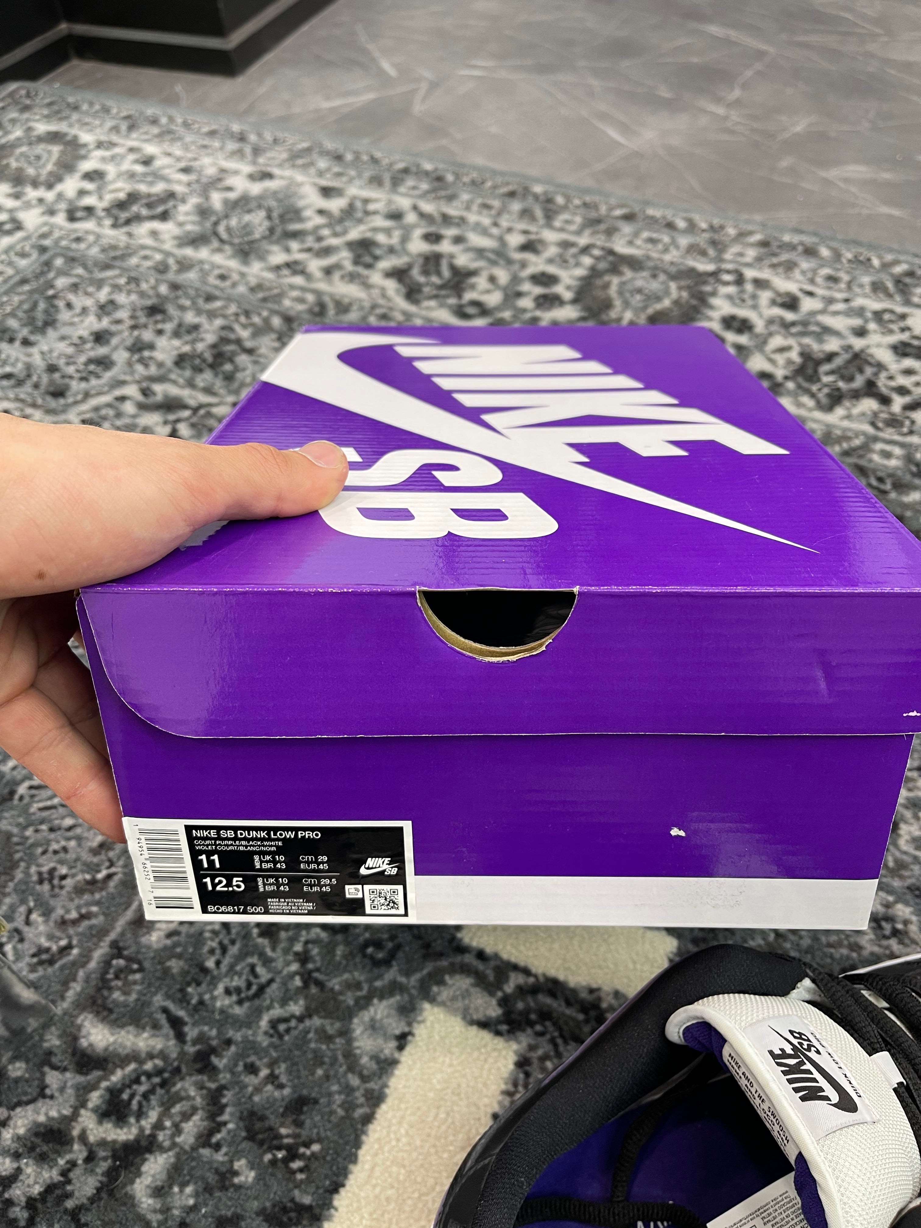 Nike Dunk Low SB “Court Purple”