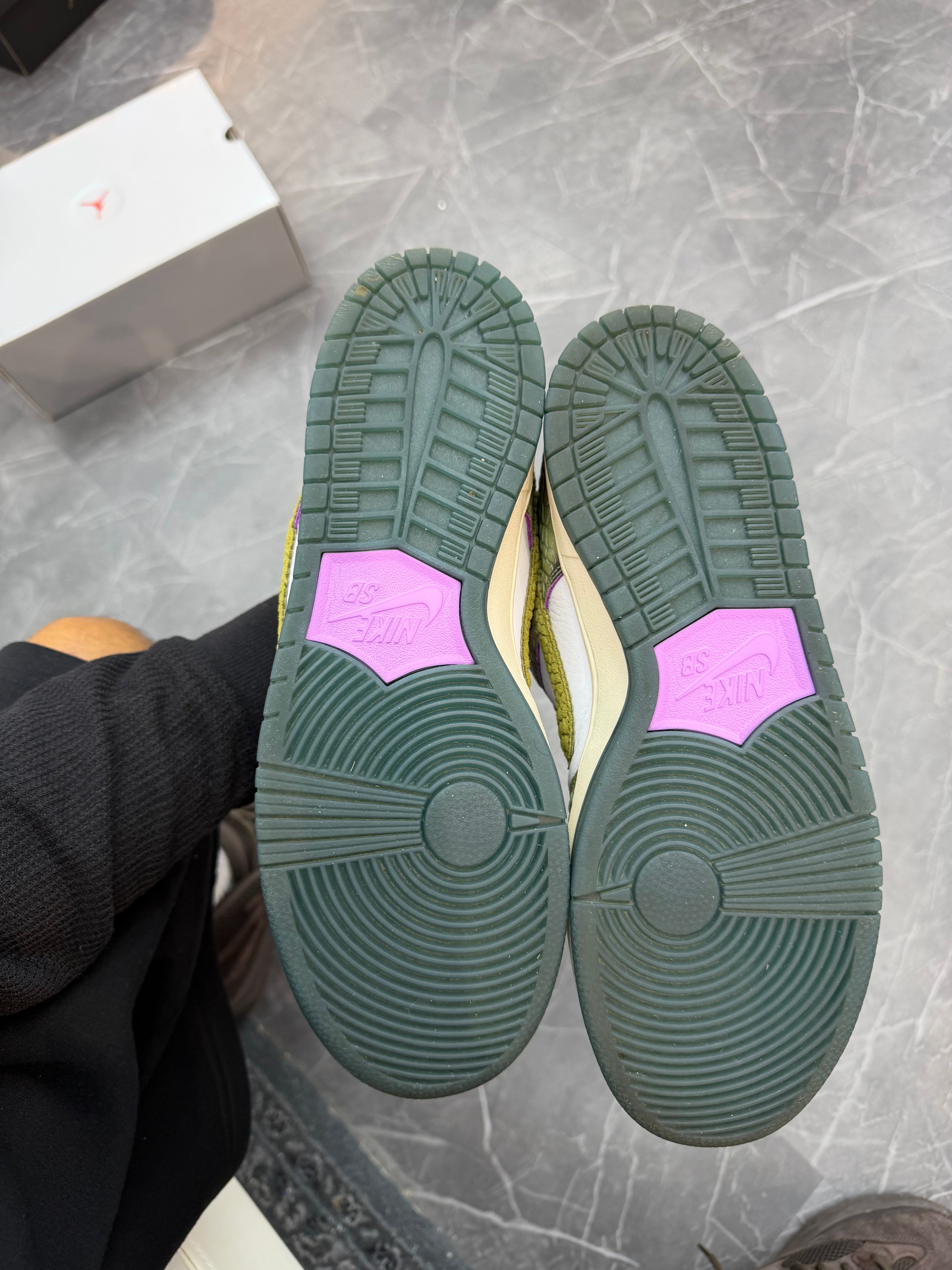 Nike SB Dunk Low “Chameleon”