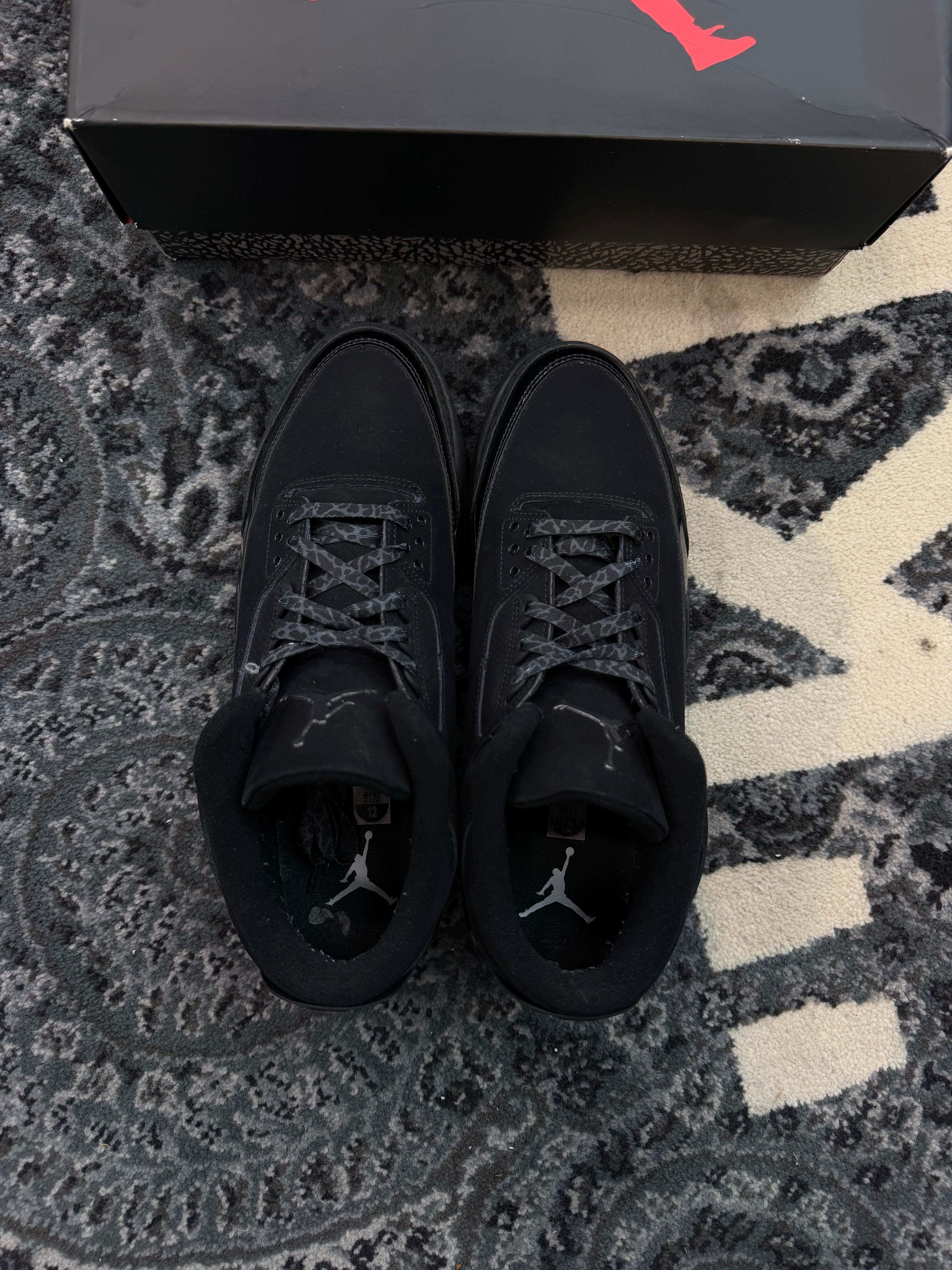 Jordan 3 “Black Cat”