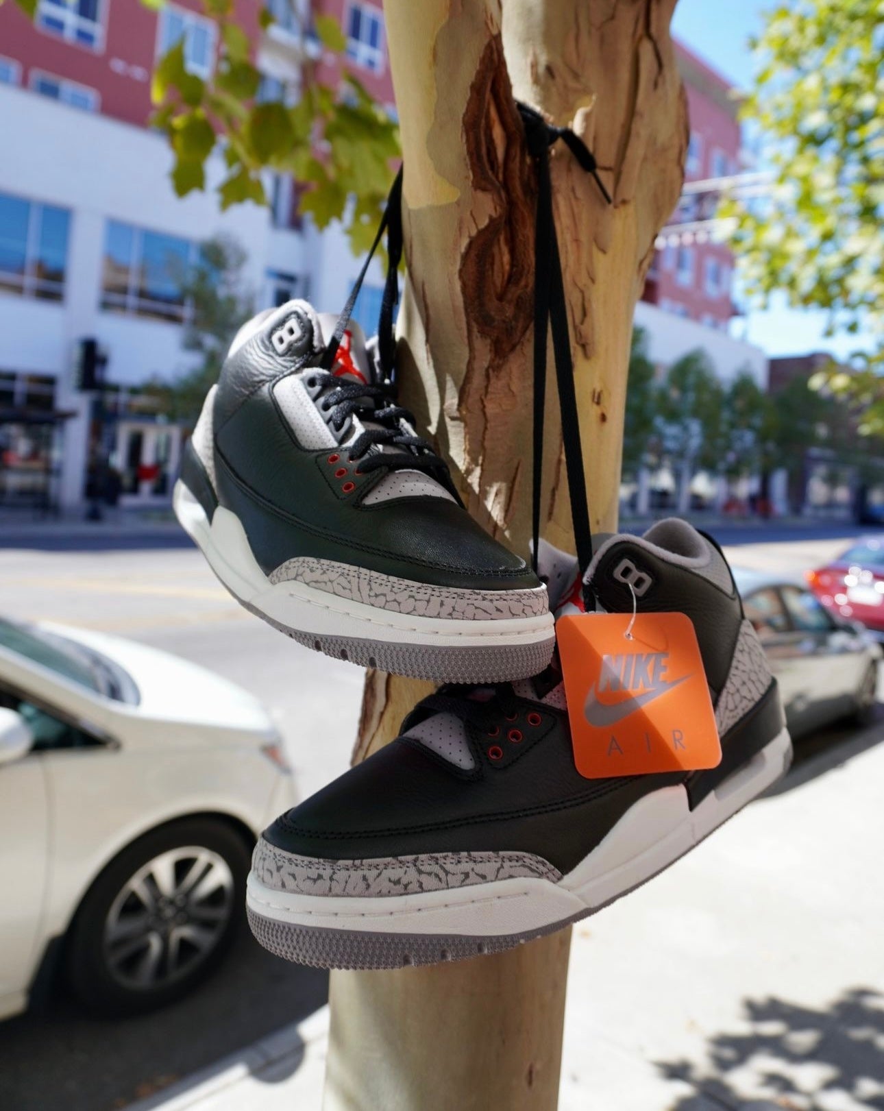 Jordan 3 “Black Cement” (2024)