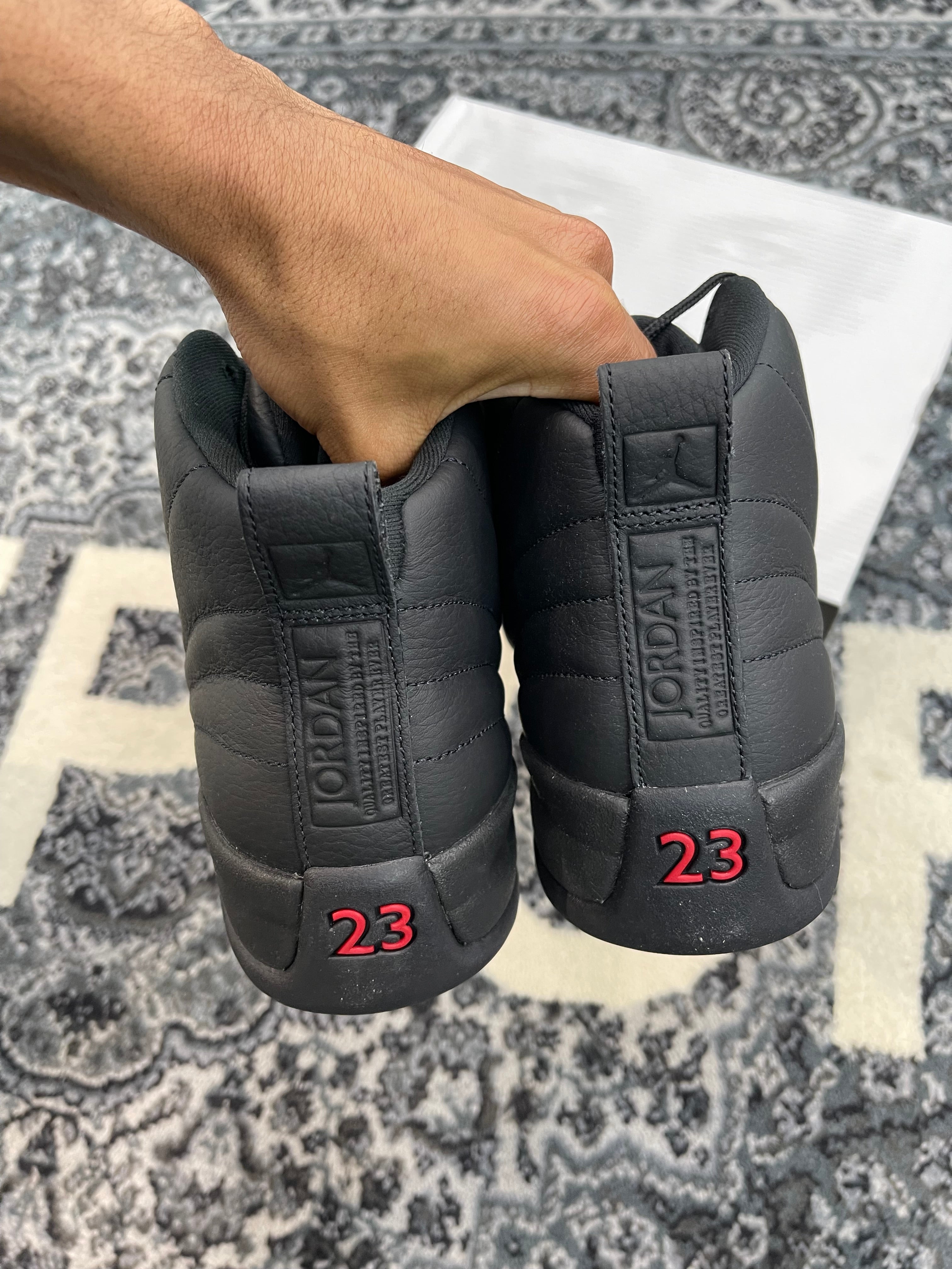 Jordan 12 “Bloodlines”